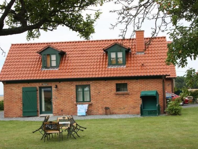 Kranich In Ummanz-lüßvitz - Hiddensee