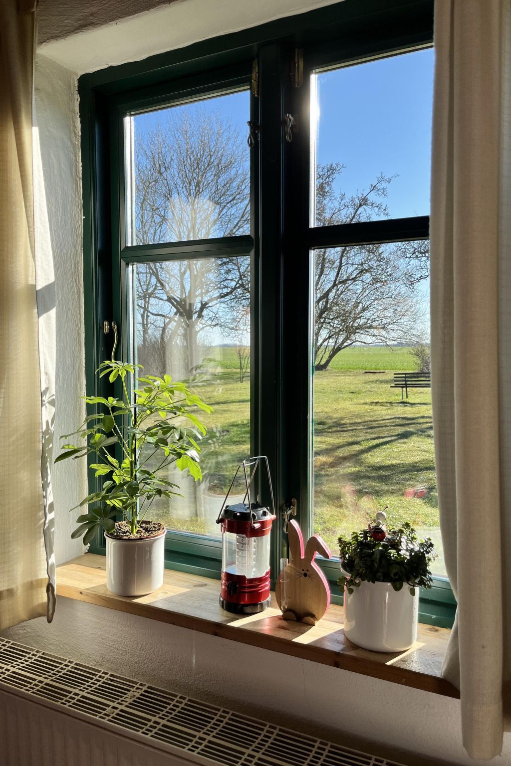 Kranich in Ummanz-Lüßvitz-Binnen