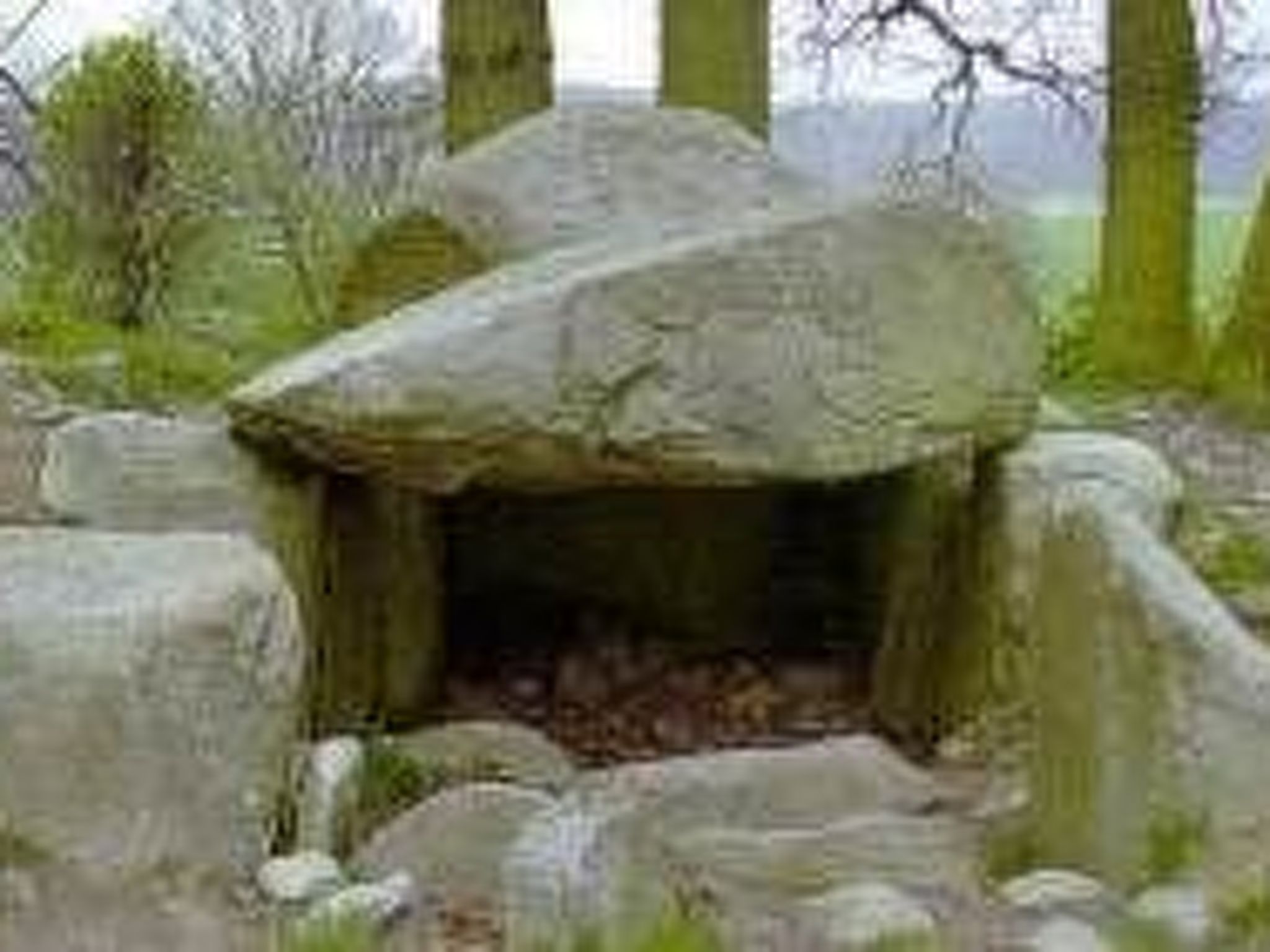 Strandnahe Ferienwohnung in ruhiger Lage-Binnen