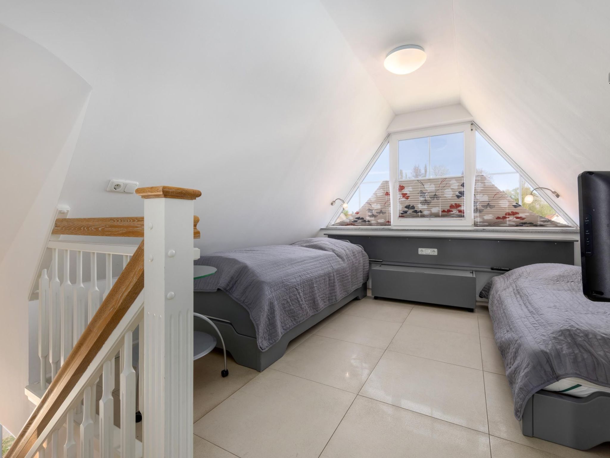 Orchidee in Glowe-Image-tags.info