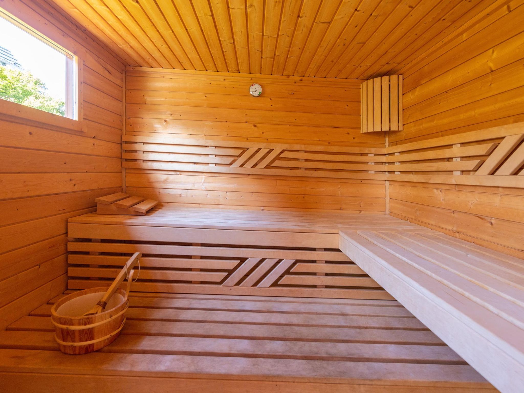 Orchidee in Glowe-Image-tags.info