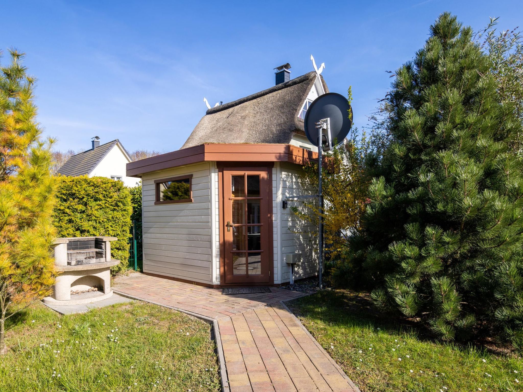 Orchidee in Glowe-Image-tags.info