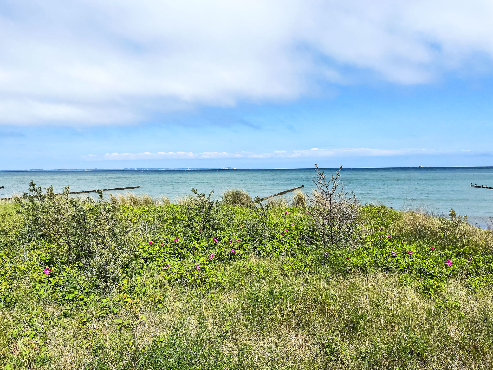 Strandnahe Ferienwohnung auf der Insel Rügen-Omgeving