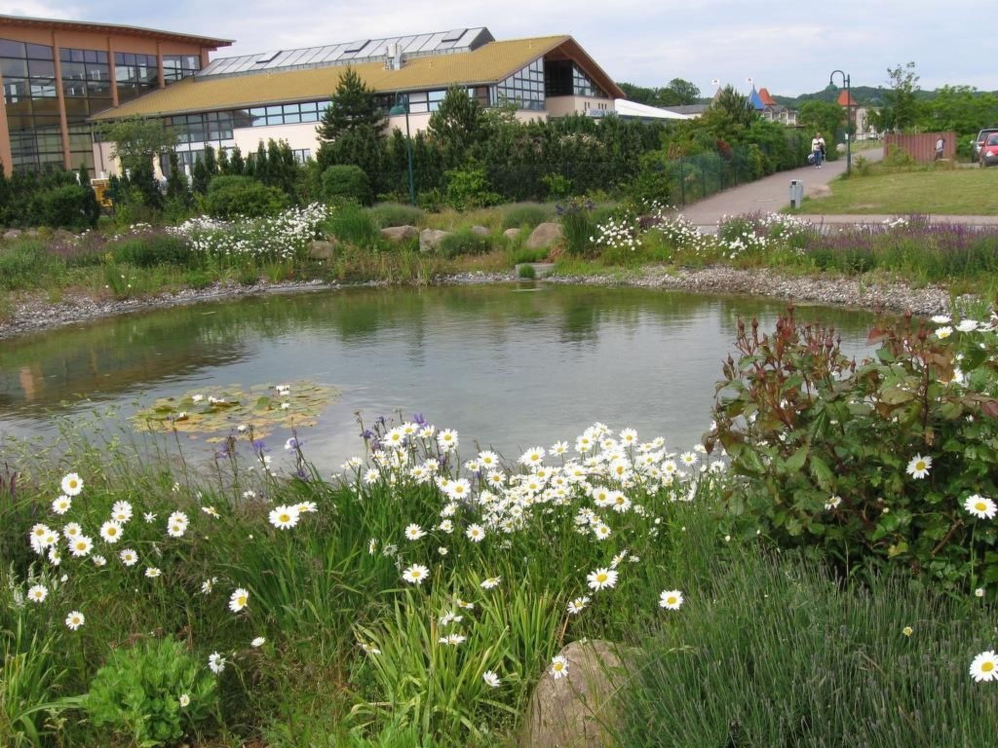 Ferienapartm.-ruegen-Binnen