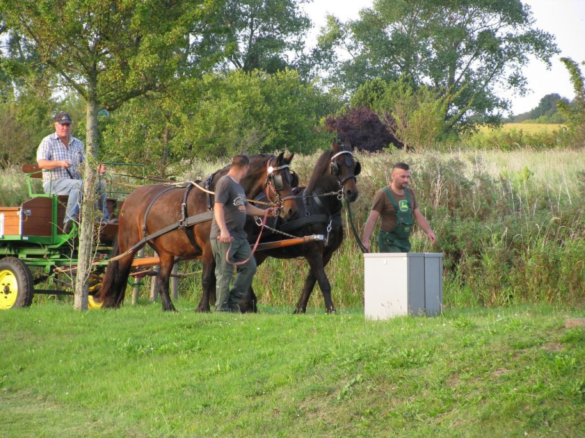 Ferienapartm.-ruegen-Binnen