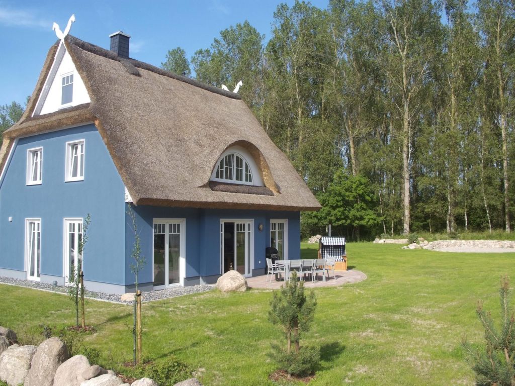 Feriehus Komfort Ferienhaus mit Sauna und Kamin, auf großem Waldgrundstück, in absoluter Glowe (6)