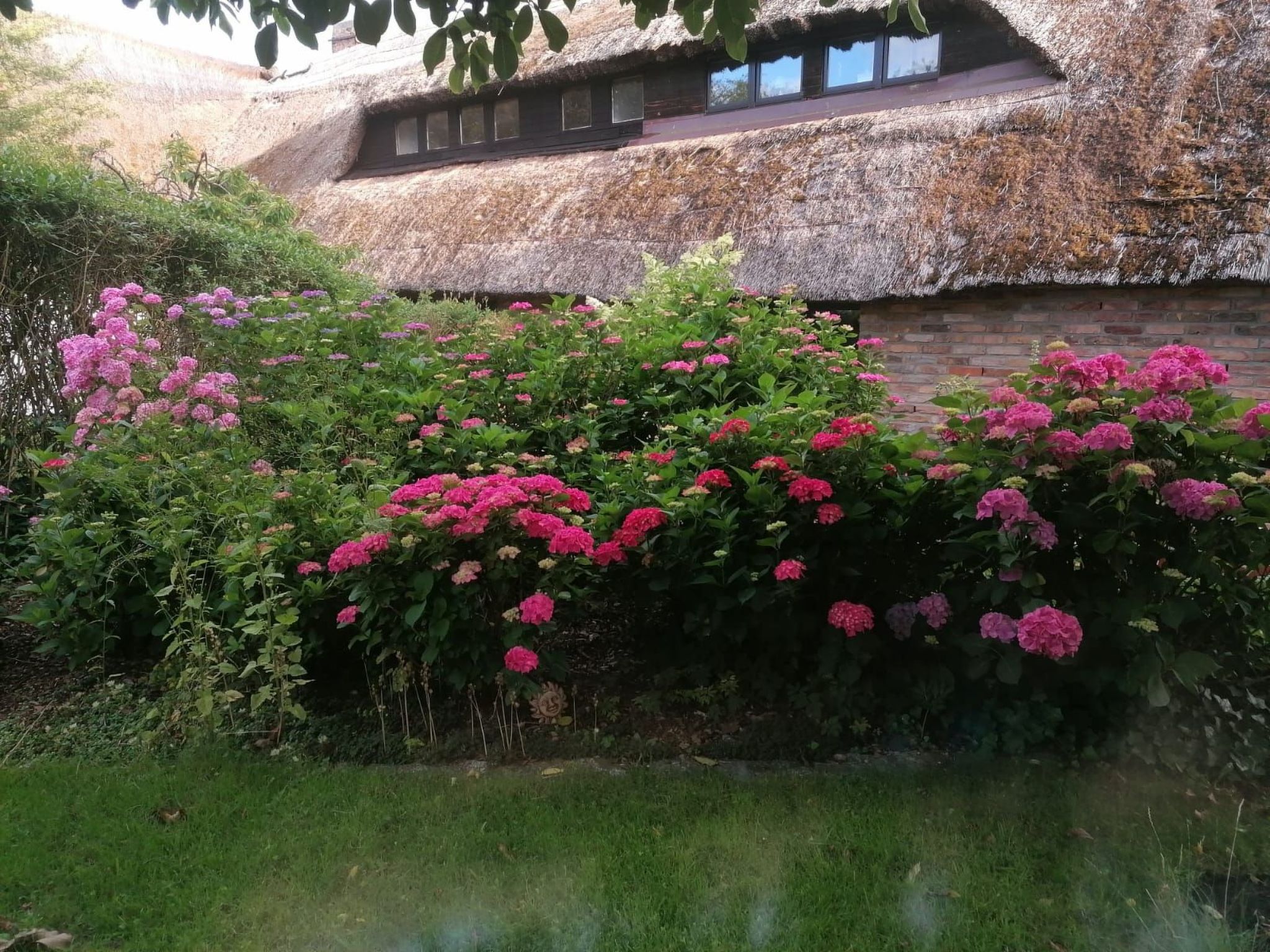 Rügen - Promoisel - Auszeit am Kreidesee, zwischen Sassnitz und Sagard-Binnen