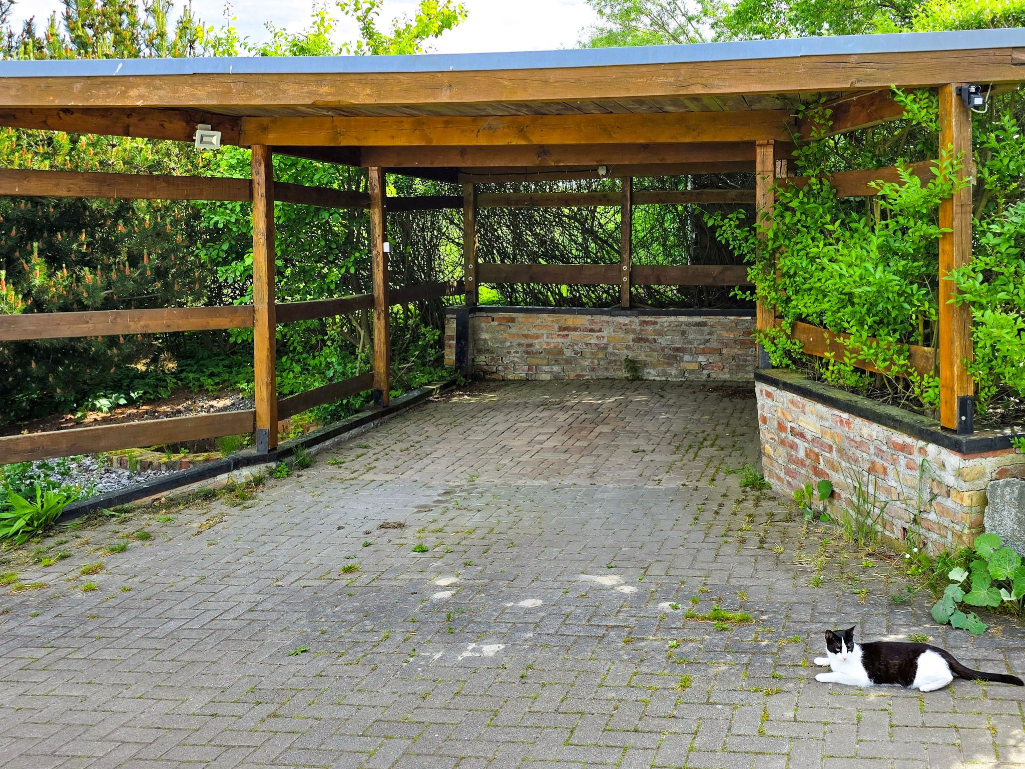 Rügen - Promoisel - Auszeit am Kreidesee, zwischen Sassnitz und Sagard-Binnen