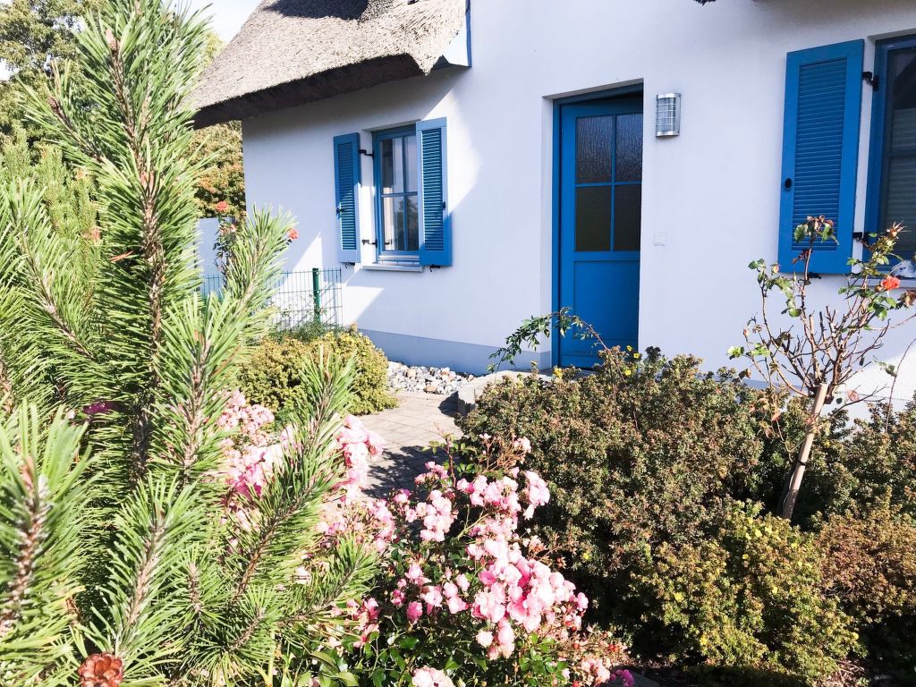 Feriehus Reethaus Meeresbrise Glowe (3)