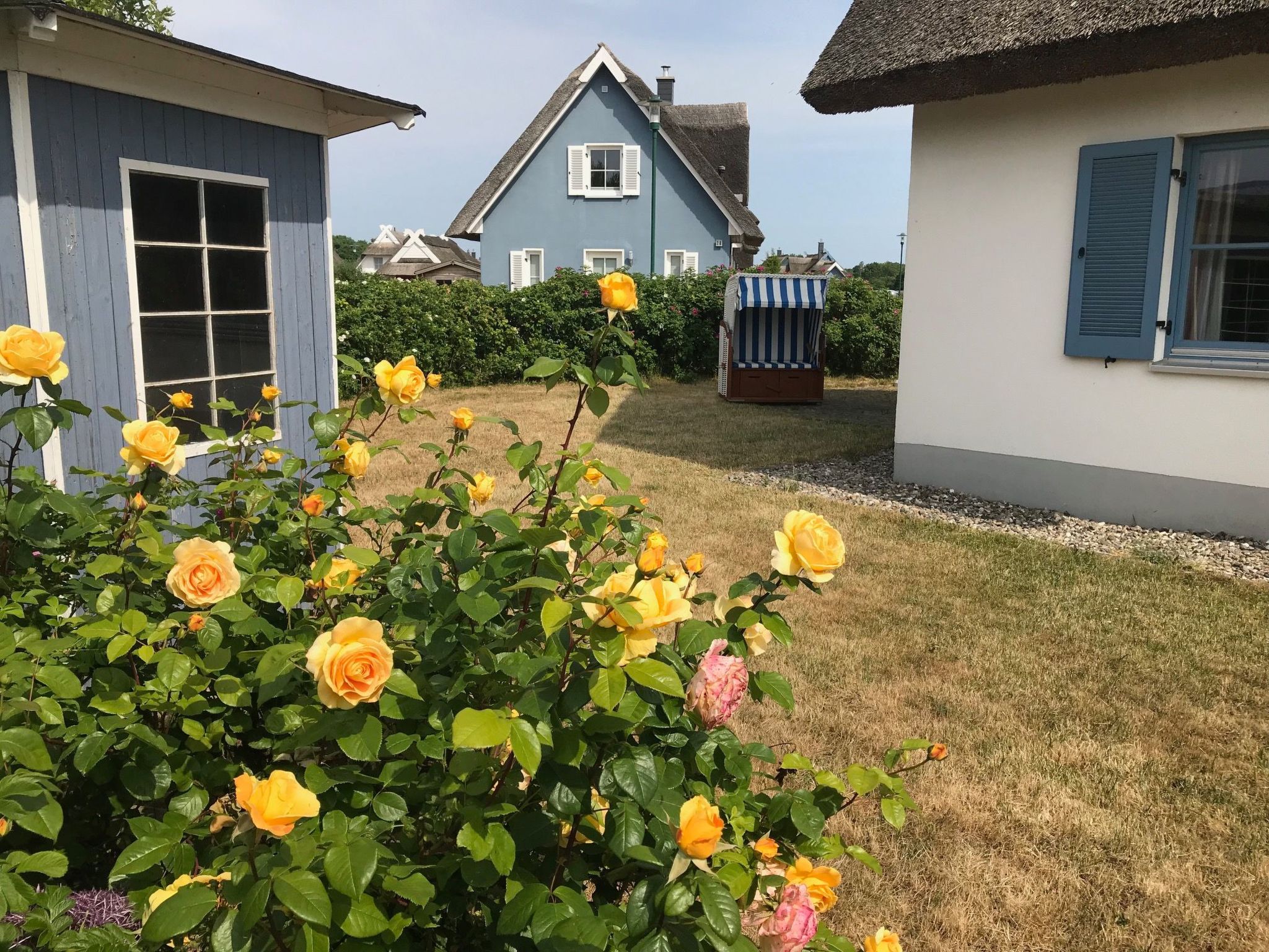 Kliff Königshörn-Dehors