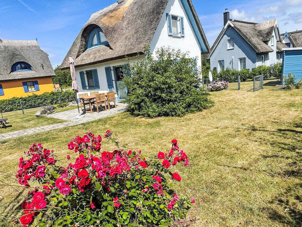 Feriehus Reethaus Störtebeker Glowe (4)