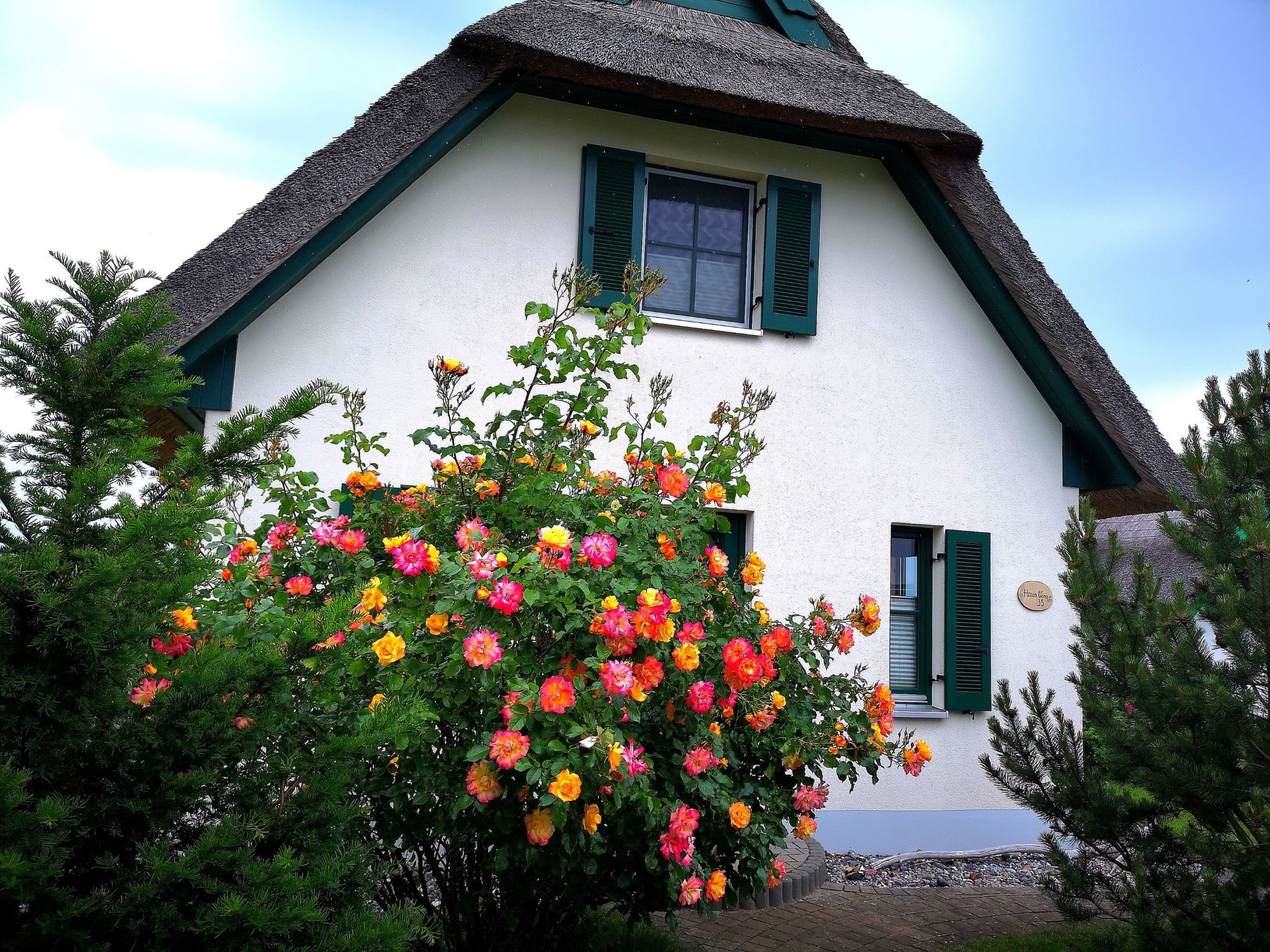 Reethaus Vera am Meer mit Sauna und Kamin-Dehors