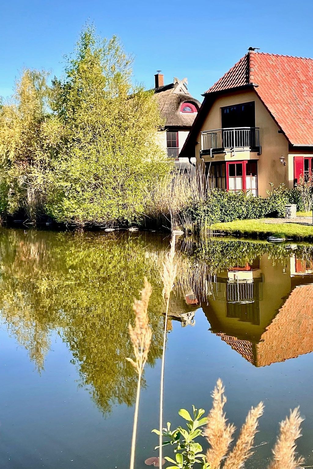 Strandvilla Meeresstern