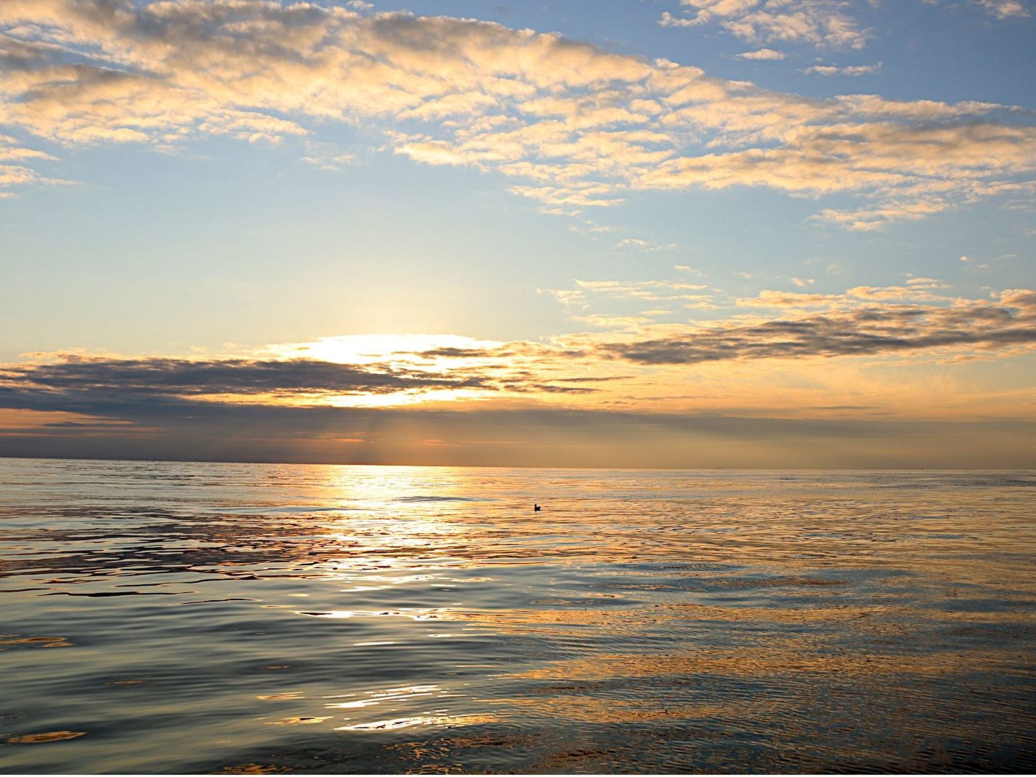 Lena-Image-tags.info