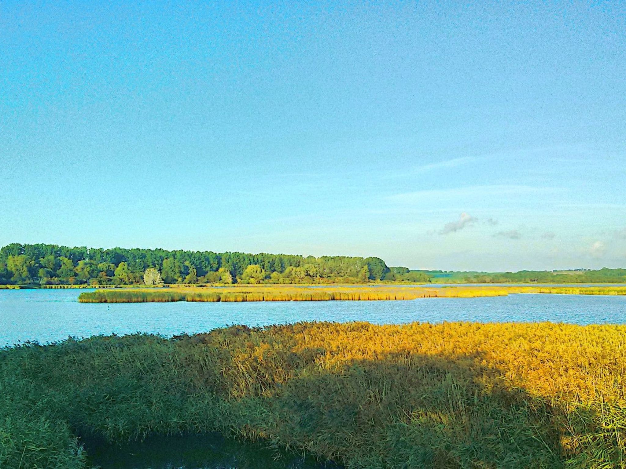 Lisa-Image-tags.info