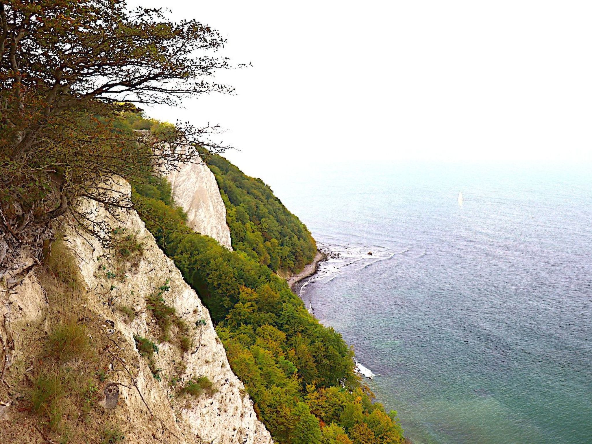 Lisa-Image-tags.info