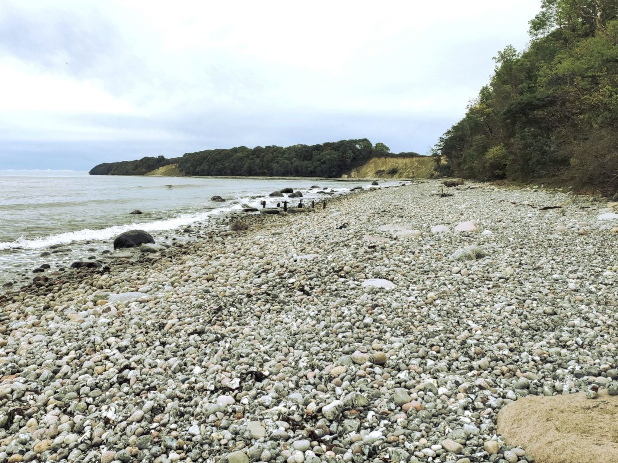 Lisa-Image-tags.info