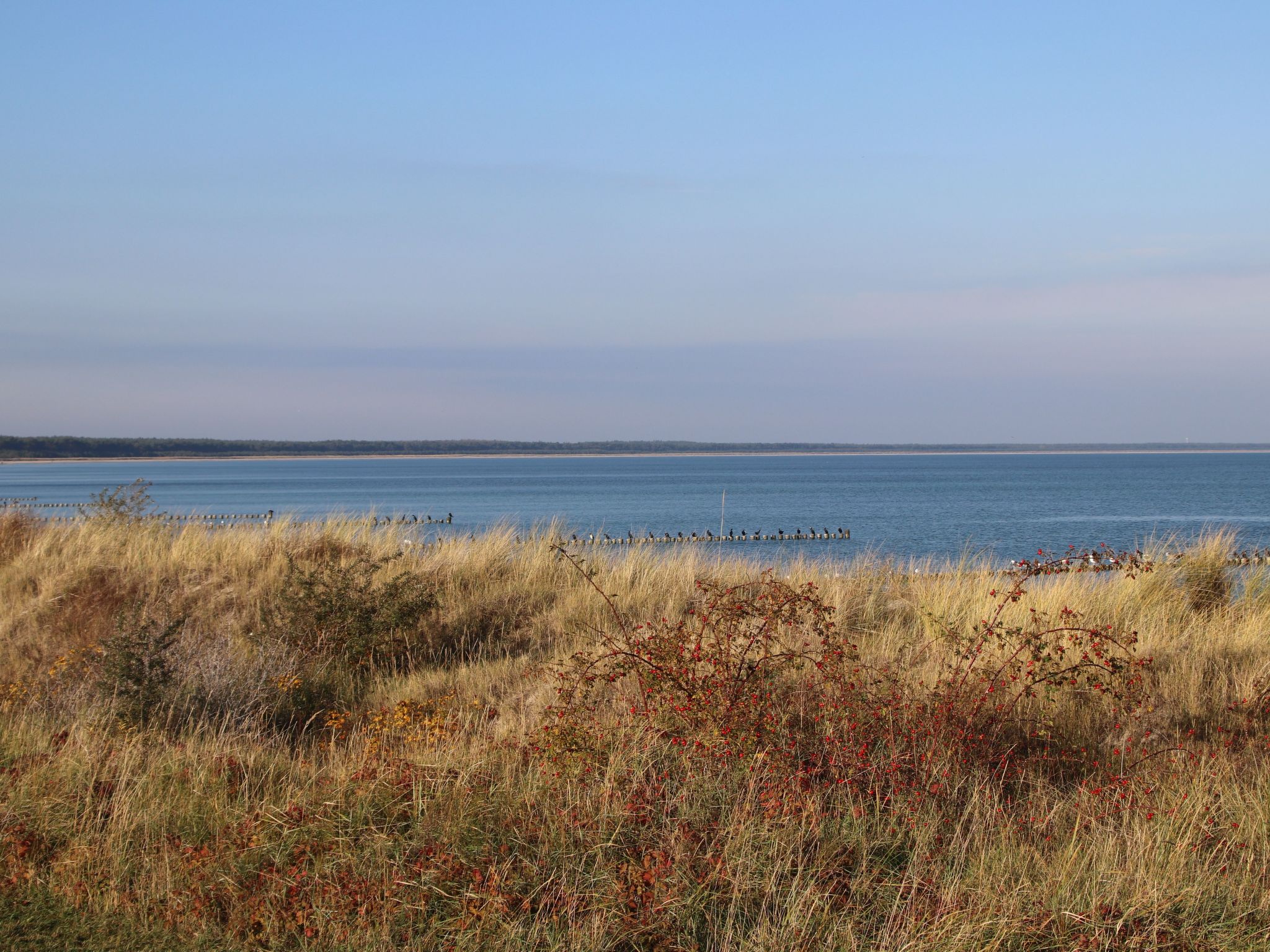 Mit Garten, Sauna, Kamin und Whirlpool-Binnen