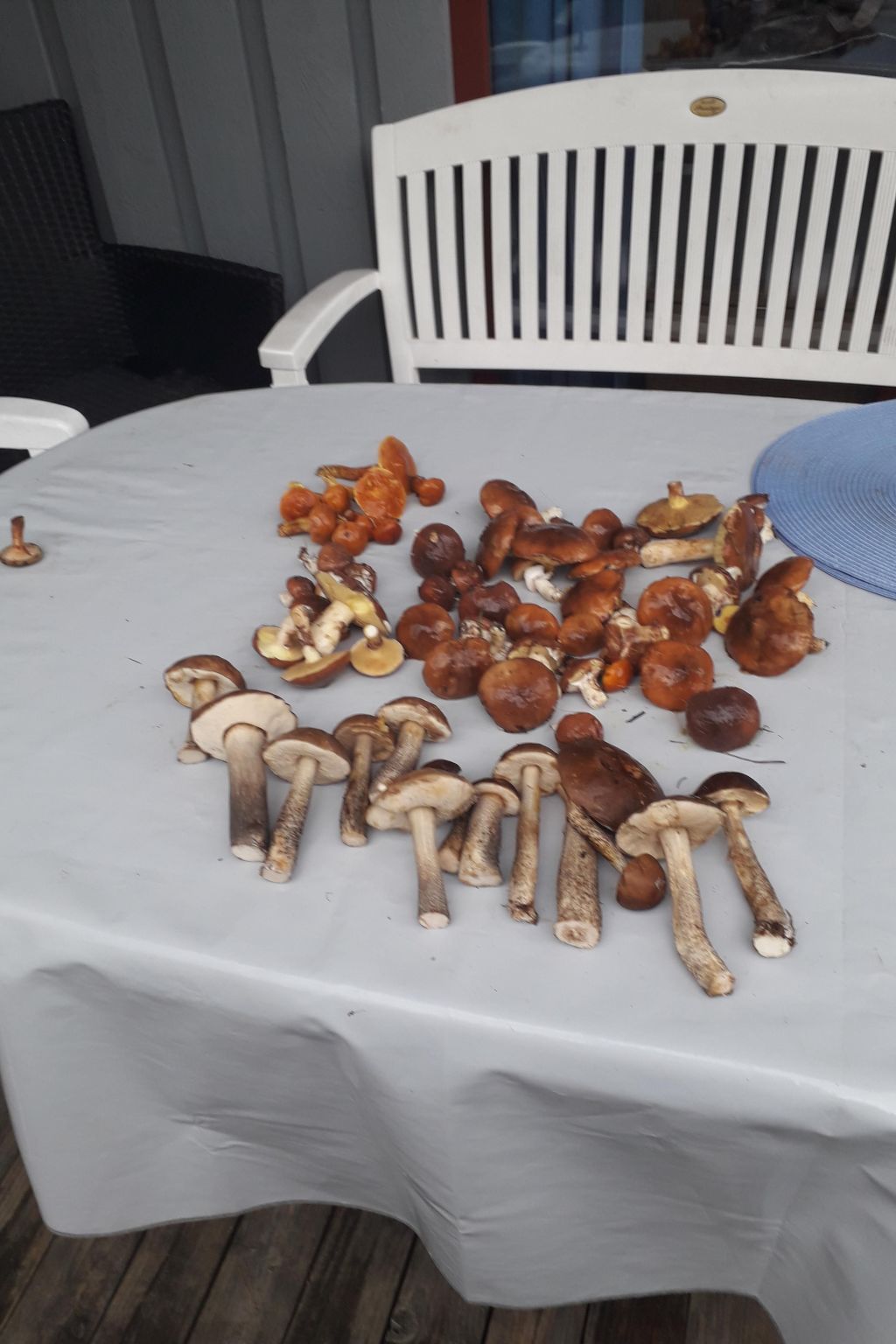 In Granzow mit Terrasse-Binnen