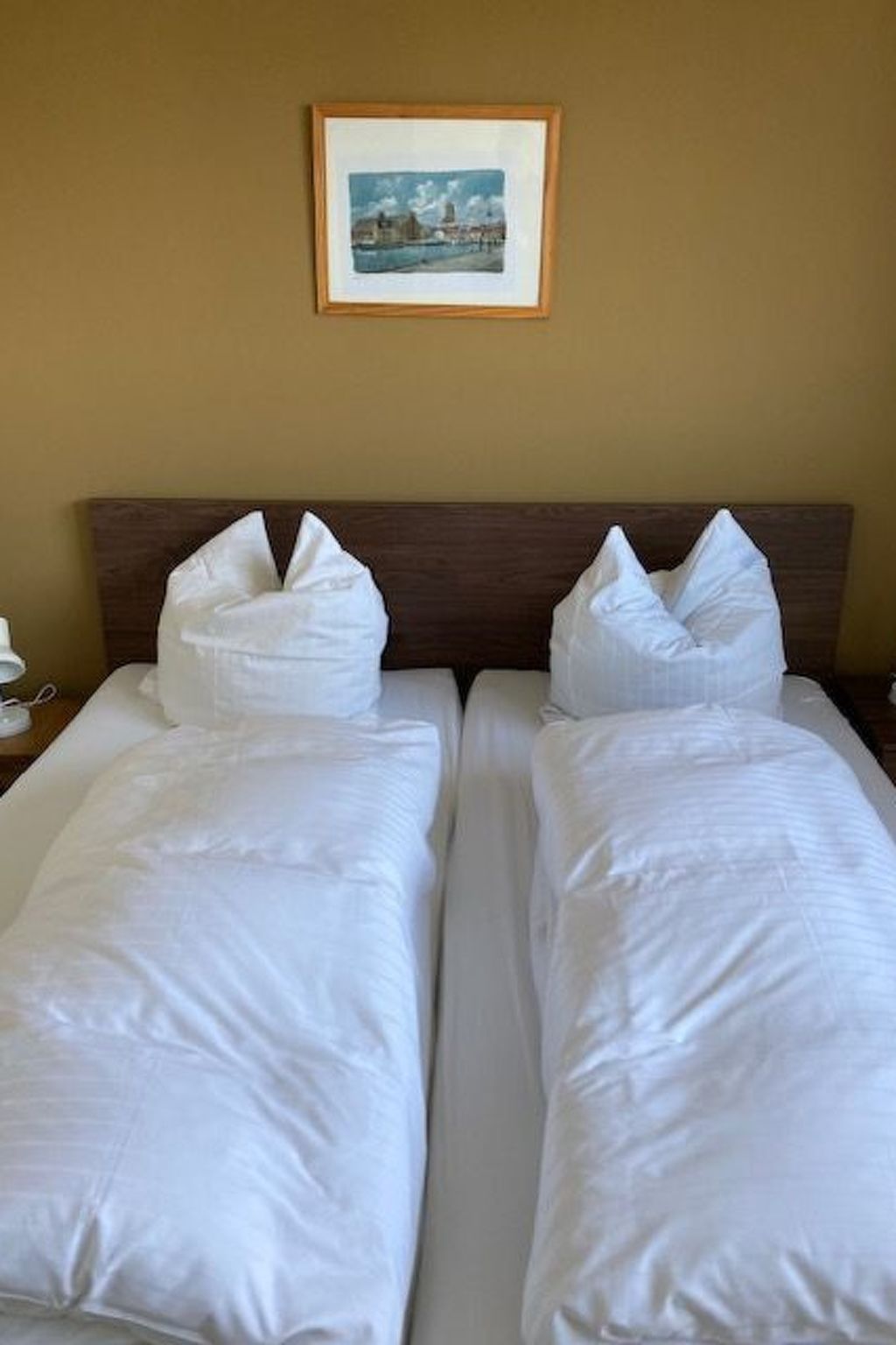 Troge in Greifswald-Binnen