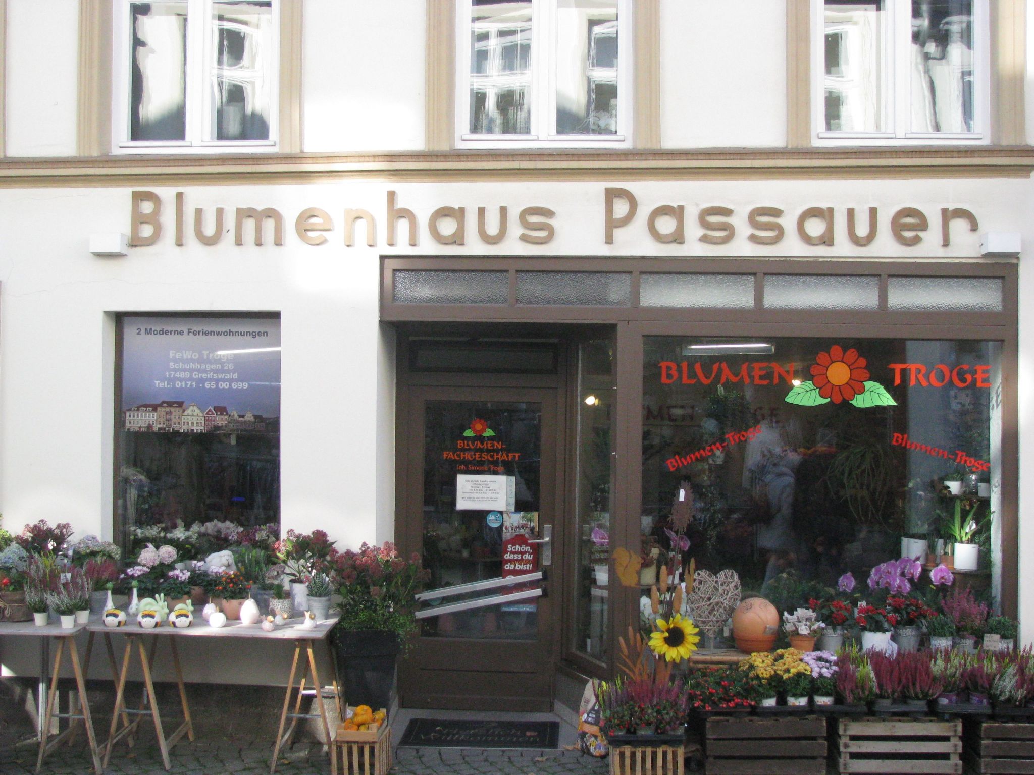 Moderne Ferienwohnung mitten in Greifswald-Binnen