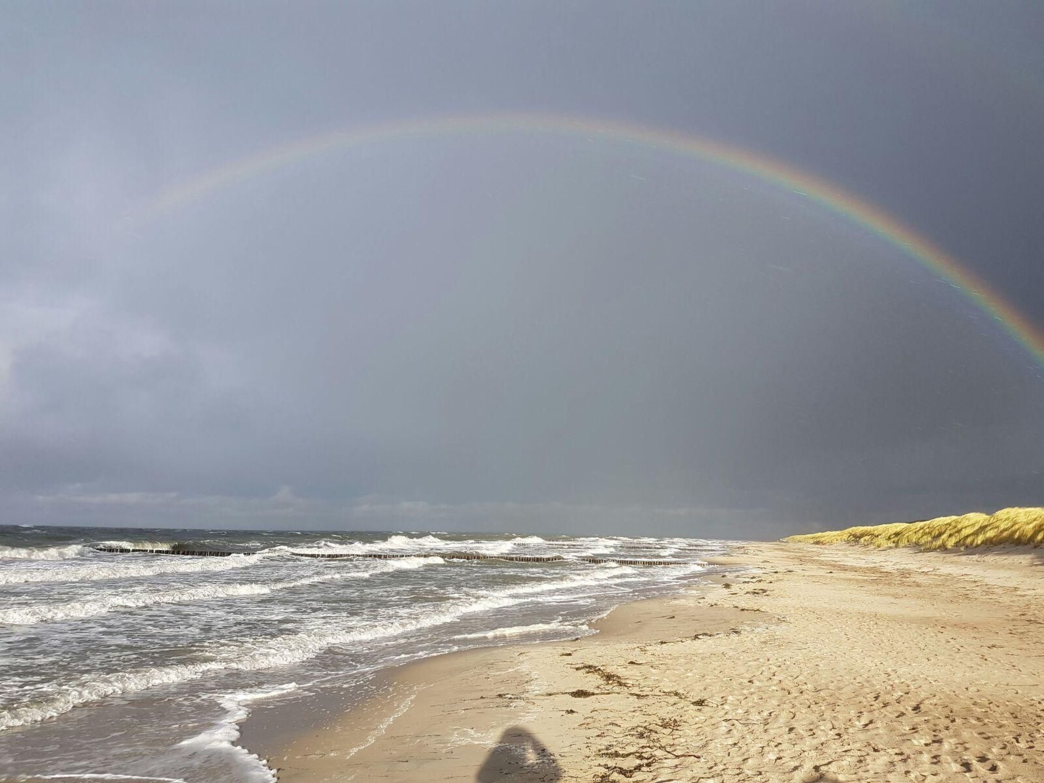 Wohnung in Göhren mit Terrasse-Dehors