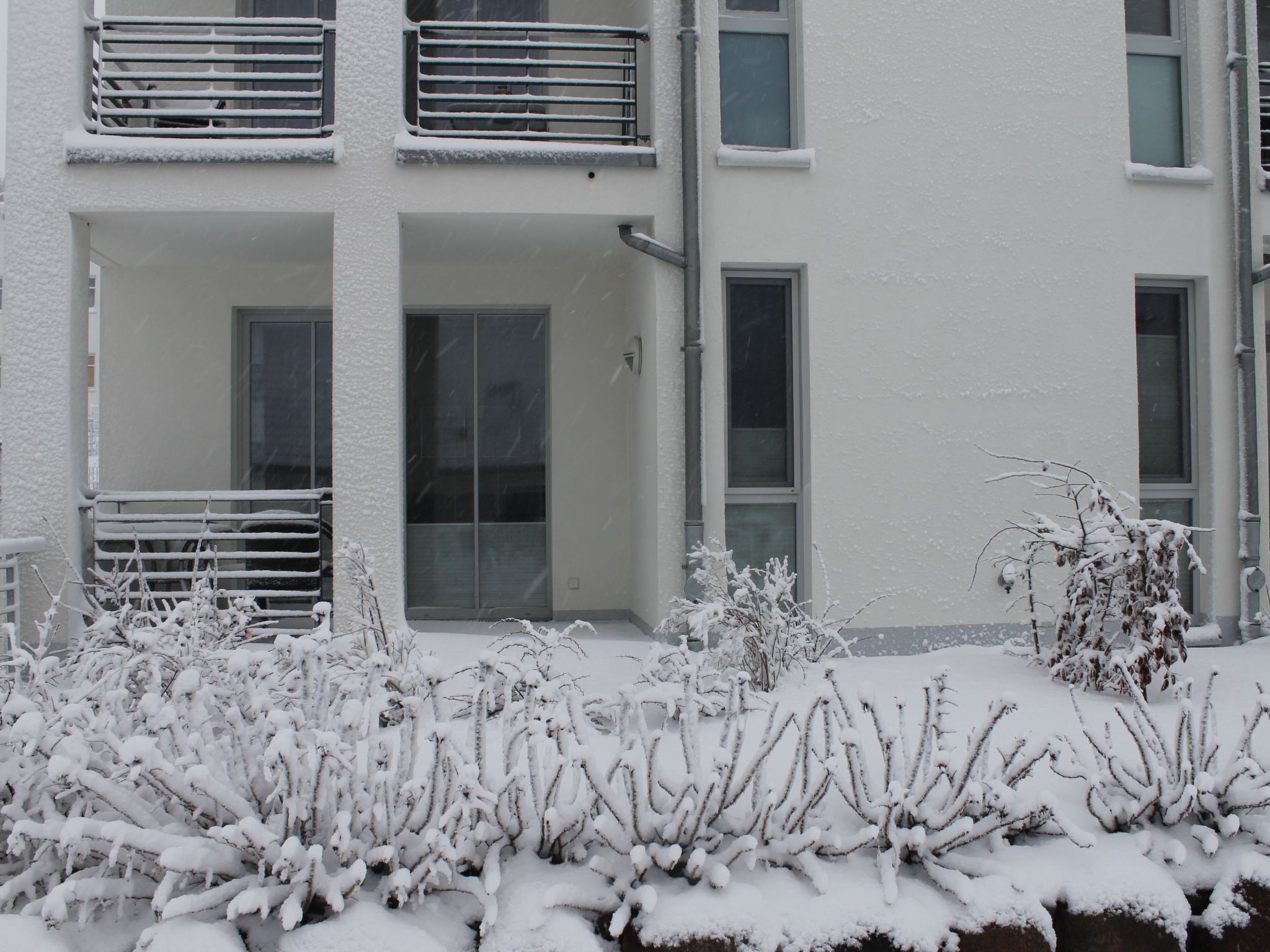 Wohnung in Göhren mit Terrasse-Dehors