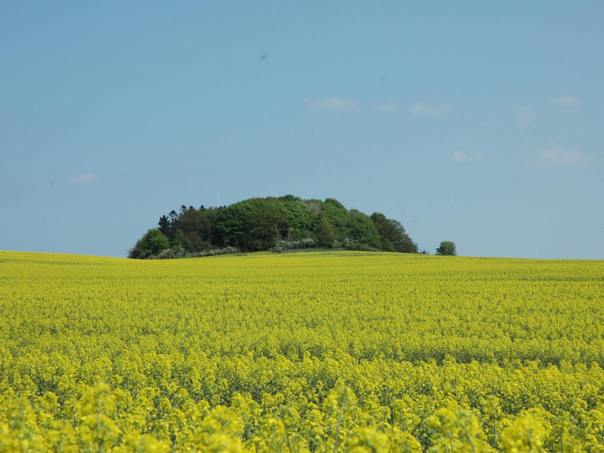 Dänenhaus in Ostseebad Göhren-Binnen