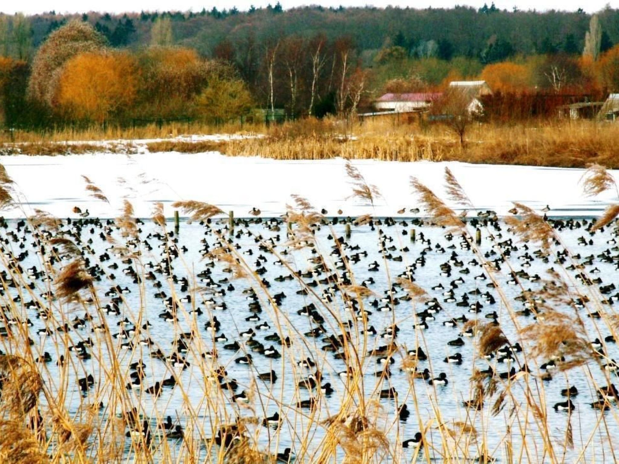 Dänenhaus in Ostseebad Göhren-Binnen