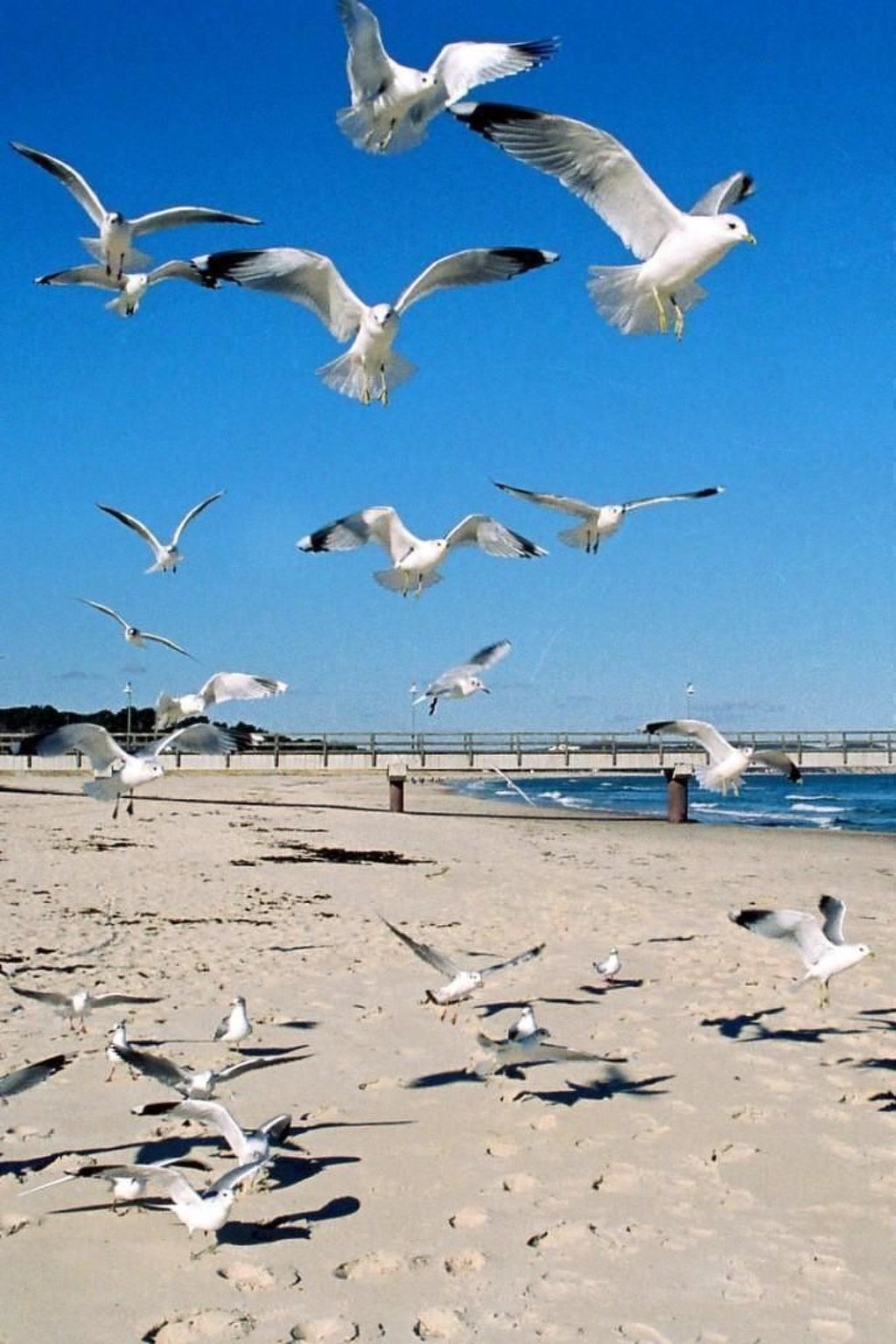 Dänenhaus in Ostseebad Göhren