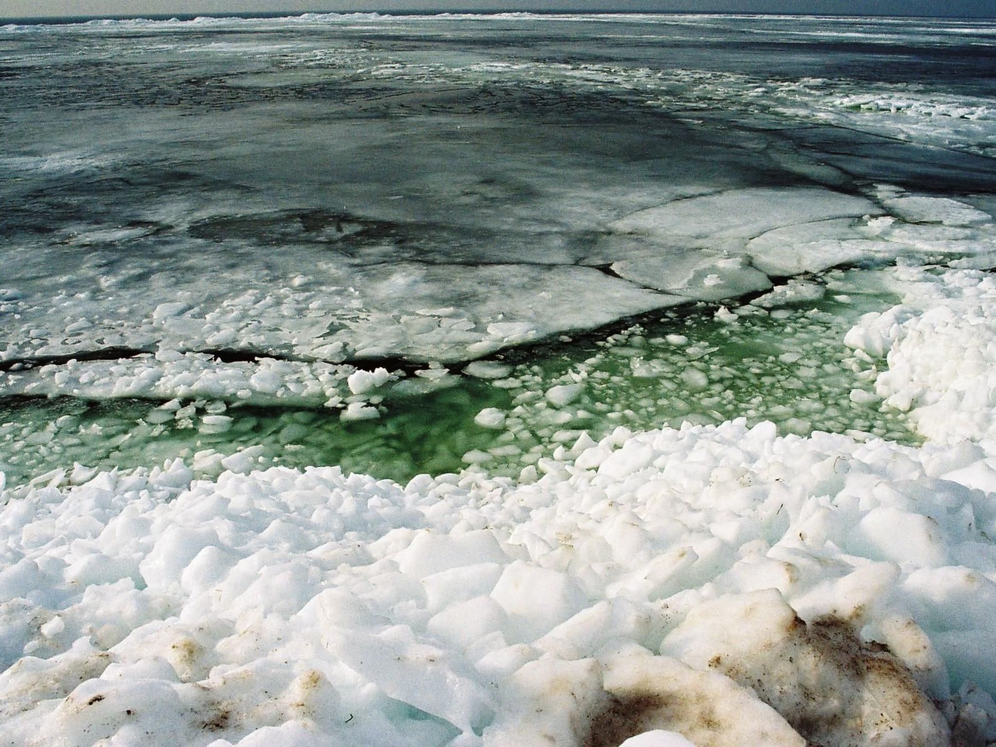 Mit Sauna und Schwimmbadnutzung-Binnen