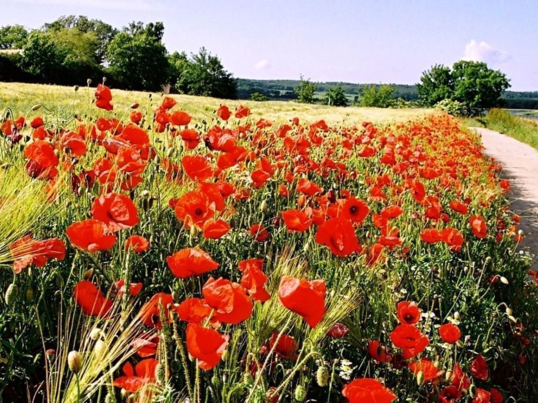 Mit Sauna und Schwimmbadnutzung-Binnen