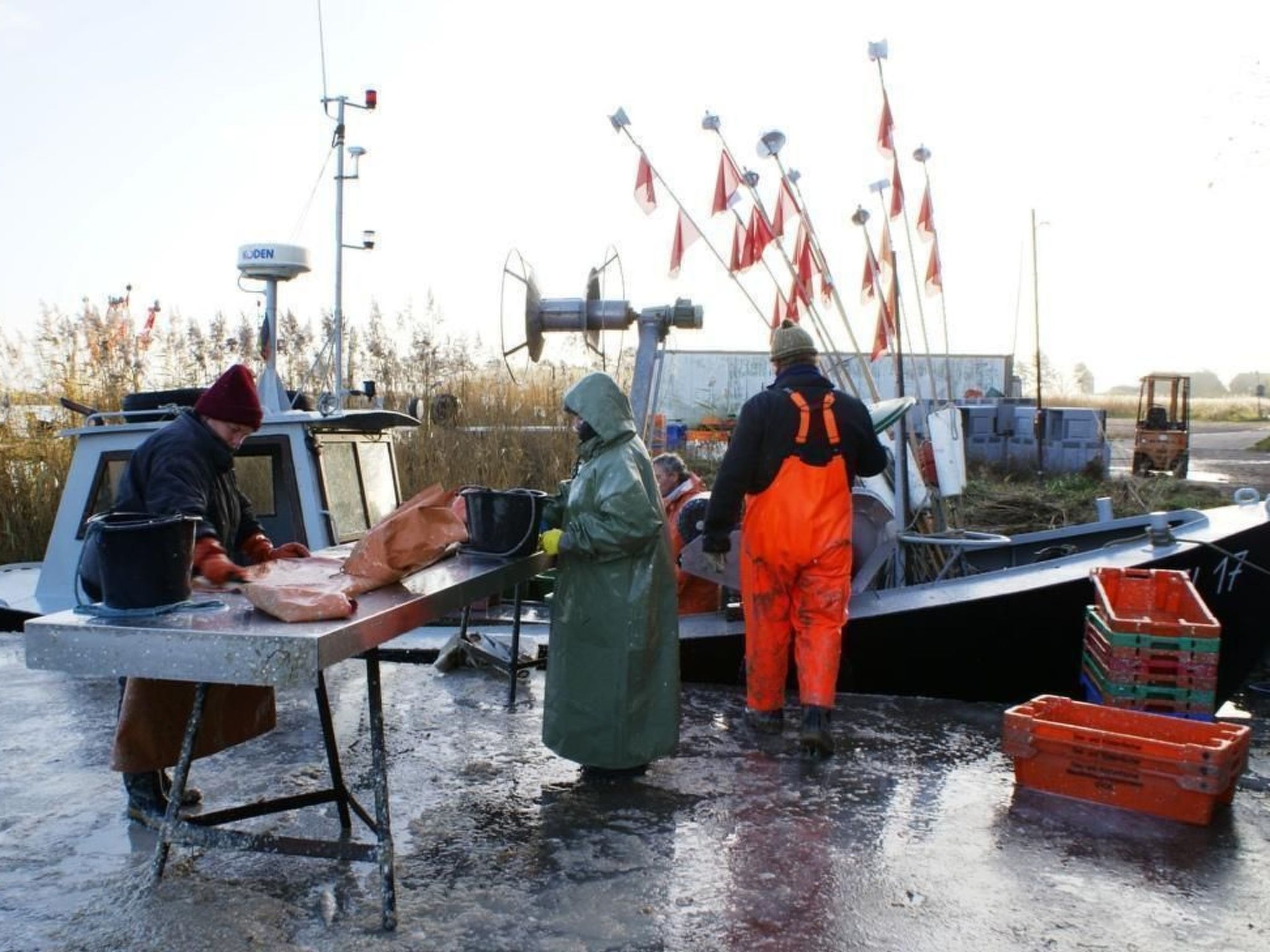 Mit Sauna und Schwimmbadnutzung-Binnen