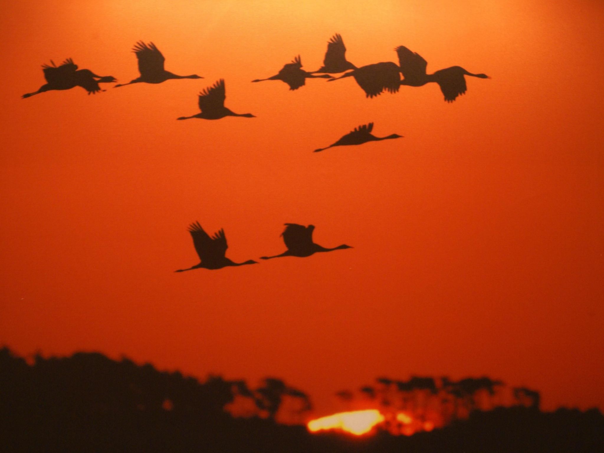 Mit Sauna und Schwimmbadnutzung-Binnen