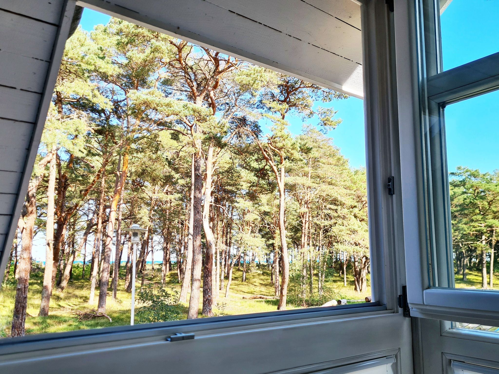 Mit Blick auf das Wasser-Draußen