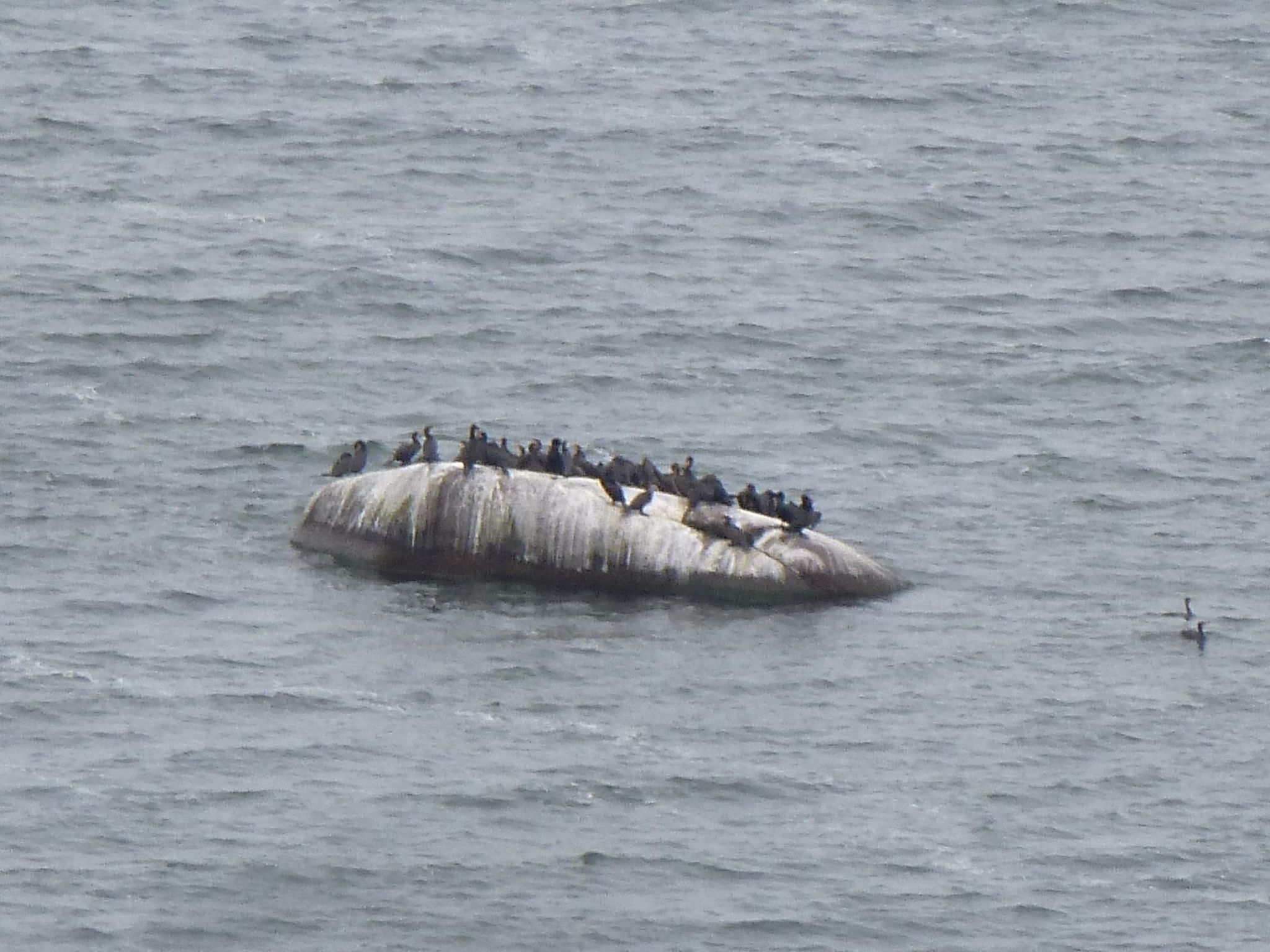 Villa Granitz-Image-tags.info