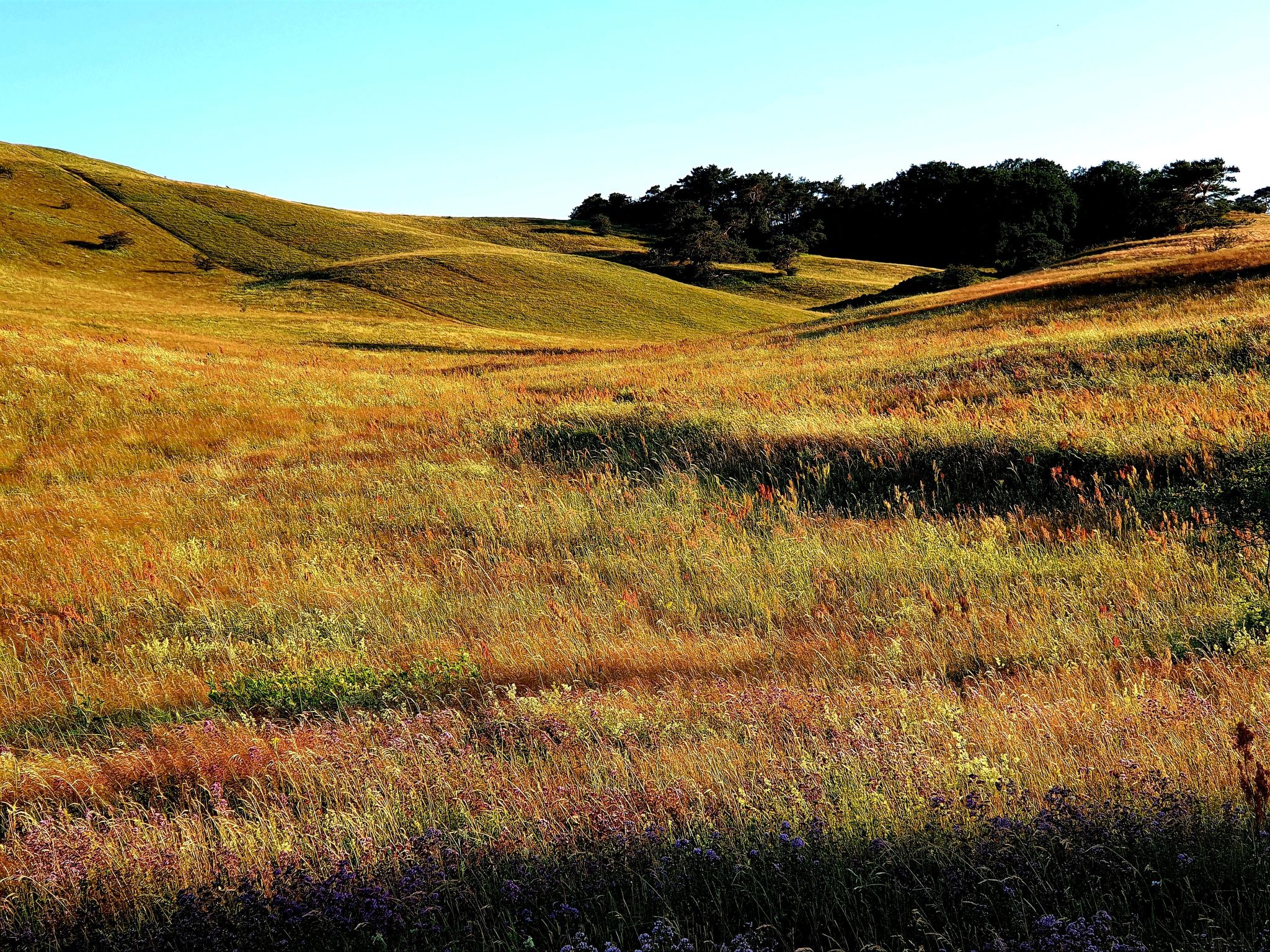 TRADITIONELLES REETDACHHAUS MIT SAUNA, KAMINOFEN UND PRIVATEM WASSERZUGANG-Image-tags.info