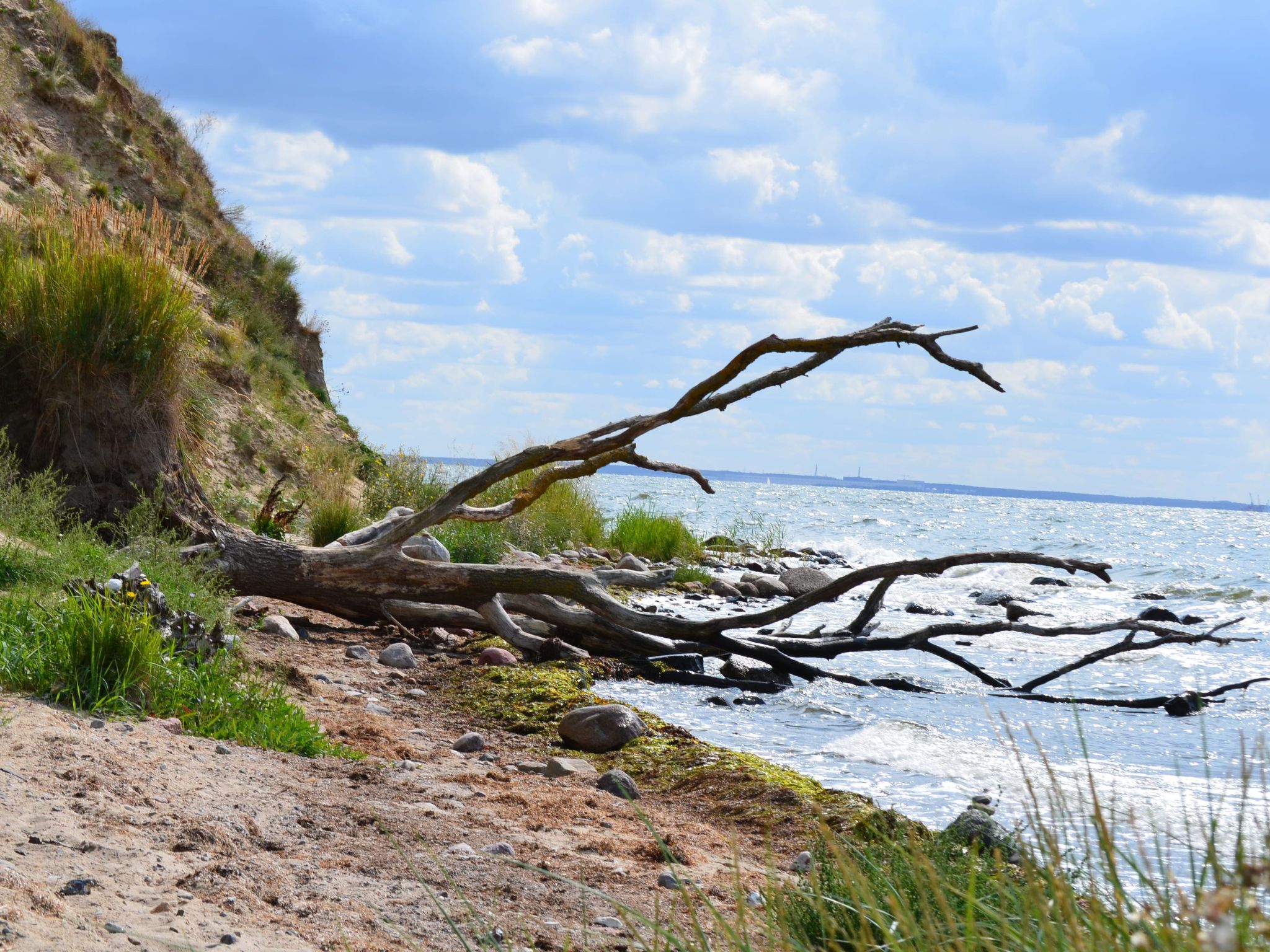 TRADITIONELLES REETDACHHAUS MIT SAUNA, KAMINOFEN UND PRIVATEM WASSERZUGANG-Image-tags.info