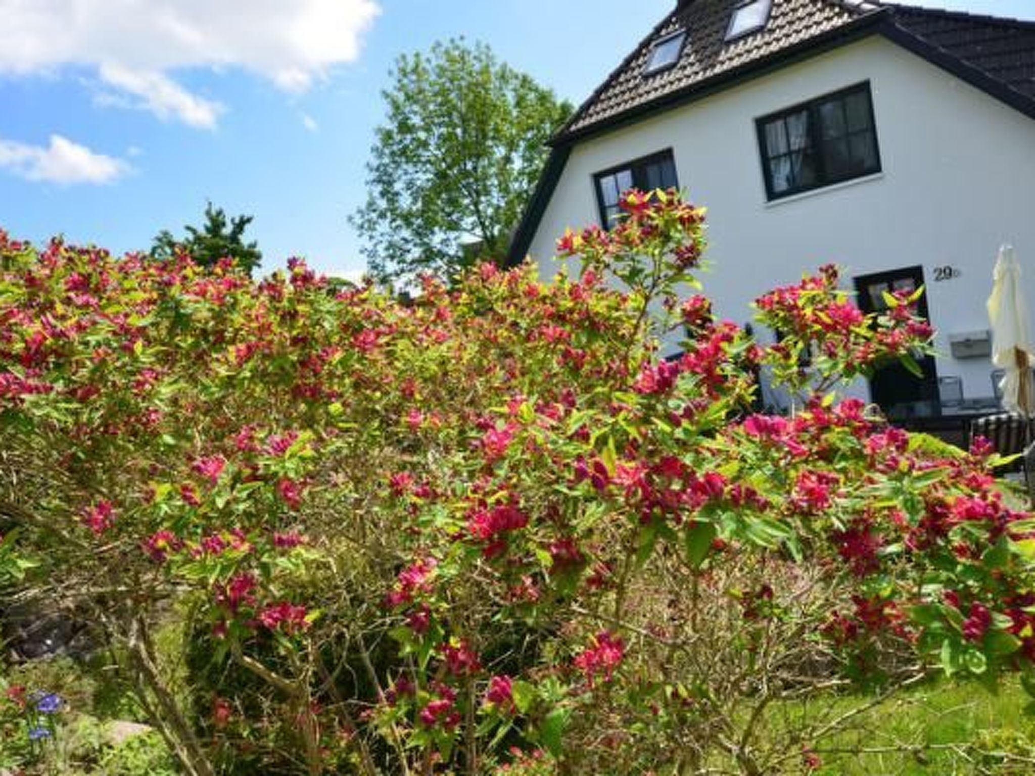 Haus Seeadler-Drinnen
