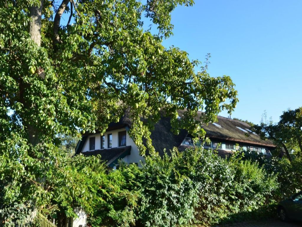 Feriehus Haus Strandhafer Baabe (6)