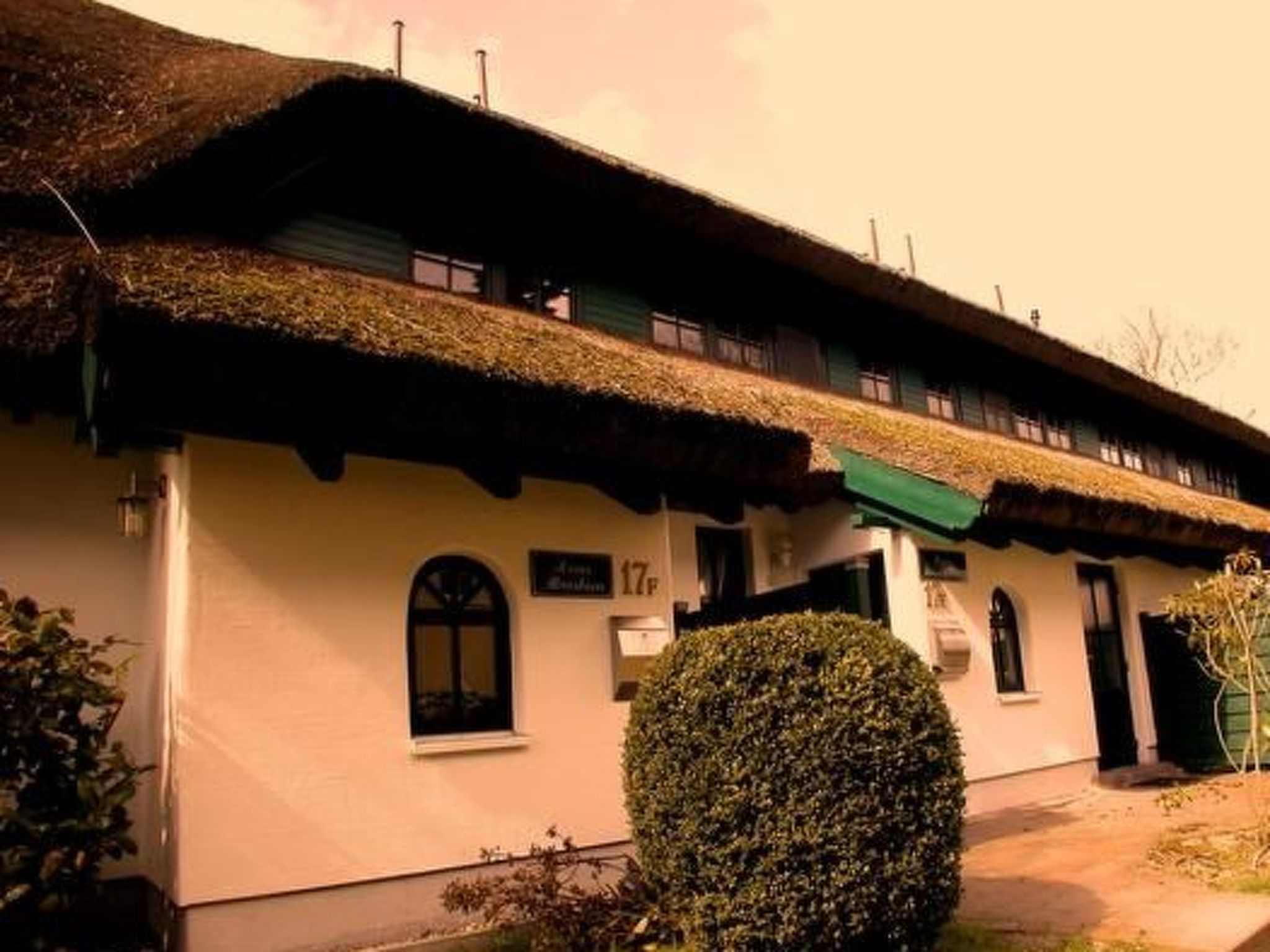 Haus Strandflieder-Binnen