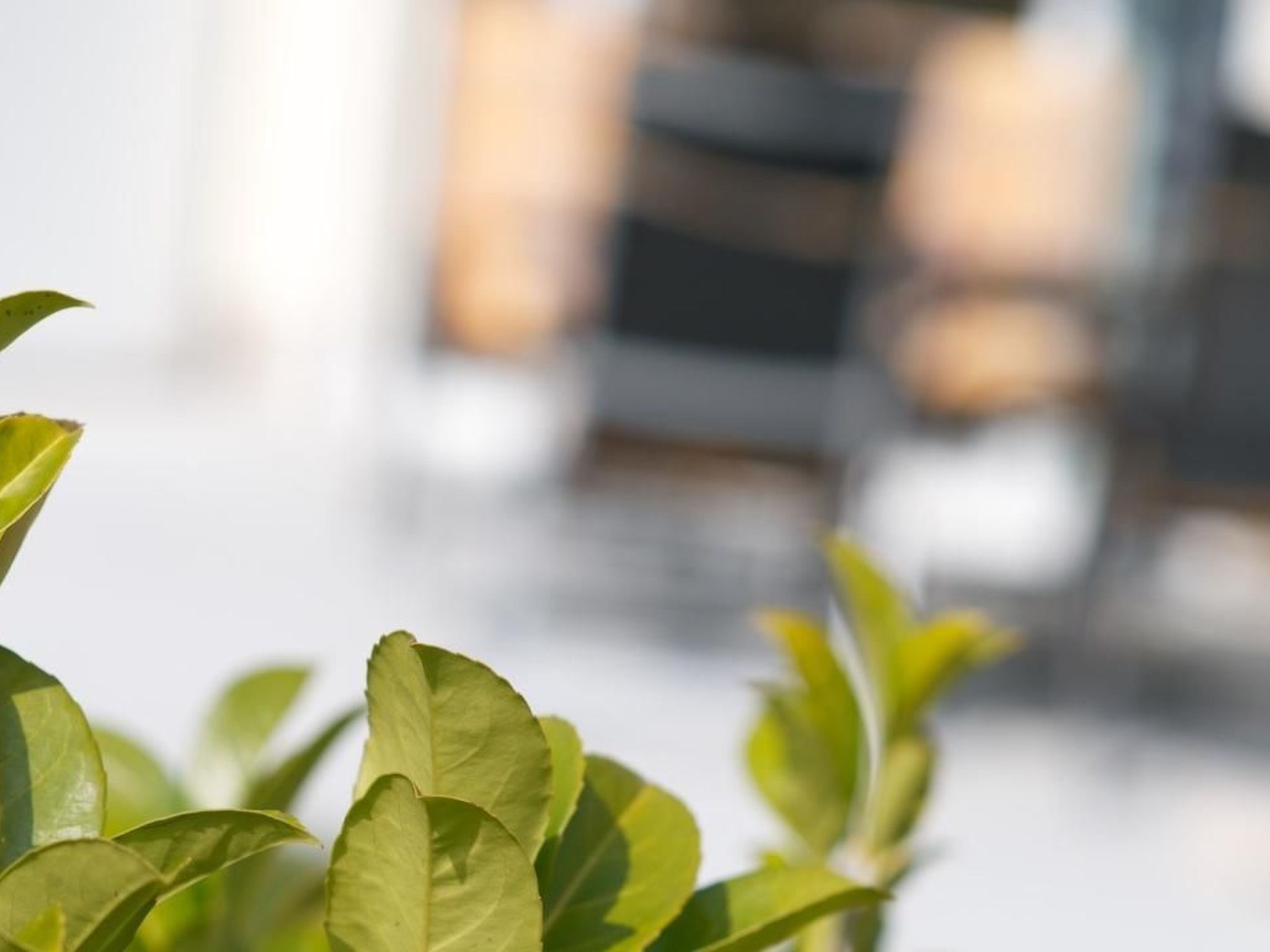 Appartement in Strandnähe-Dehors