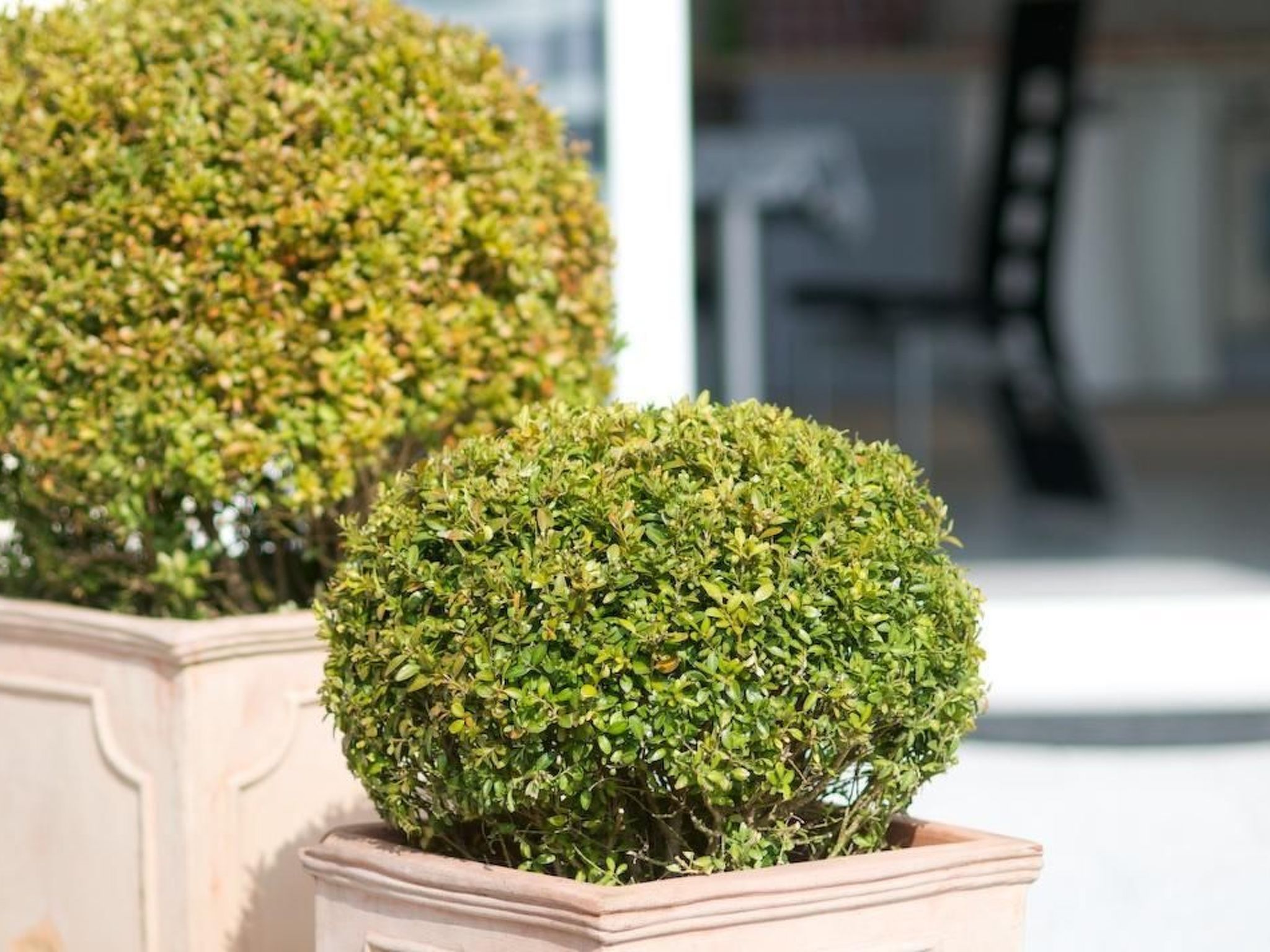 Mit Blick auf das Wasser-Outside