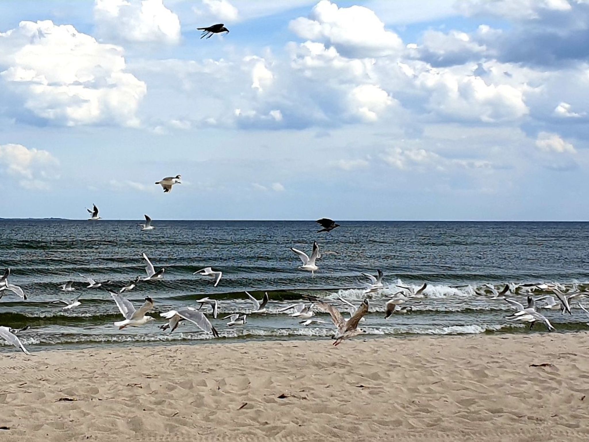 Landhaus "To Hus" - Fewo Frauke mit Sauna-Image-tags.info