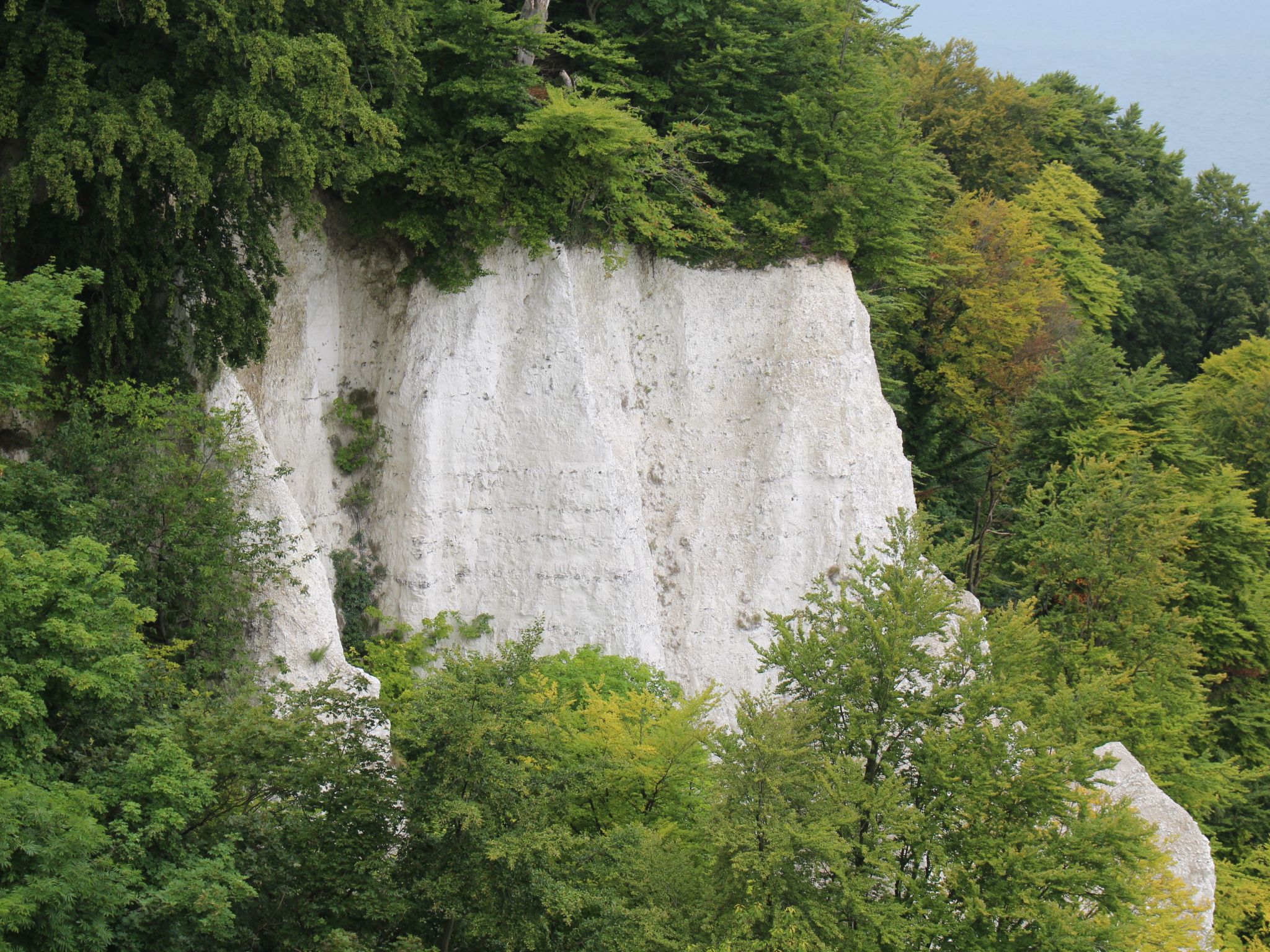 Landhaus "To Hus" - Fewo Frauke mit Sauna-Image-tags.info