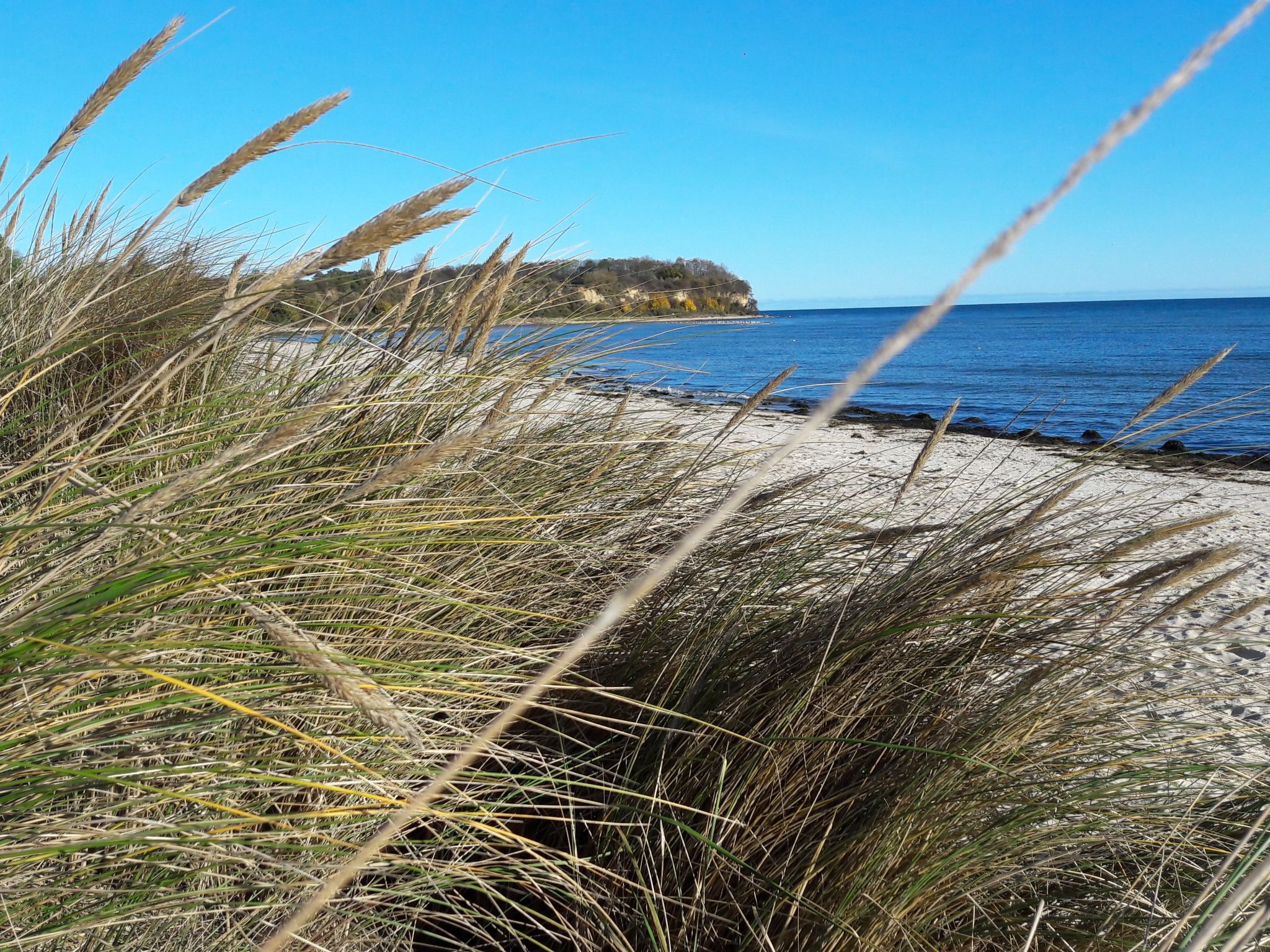 Fewo "Königin Margarete" imLandhaus "To Hus"-Image-tags.info