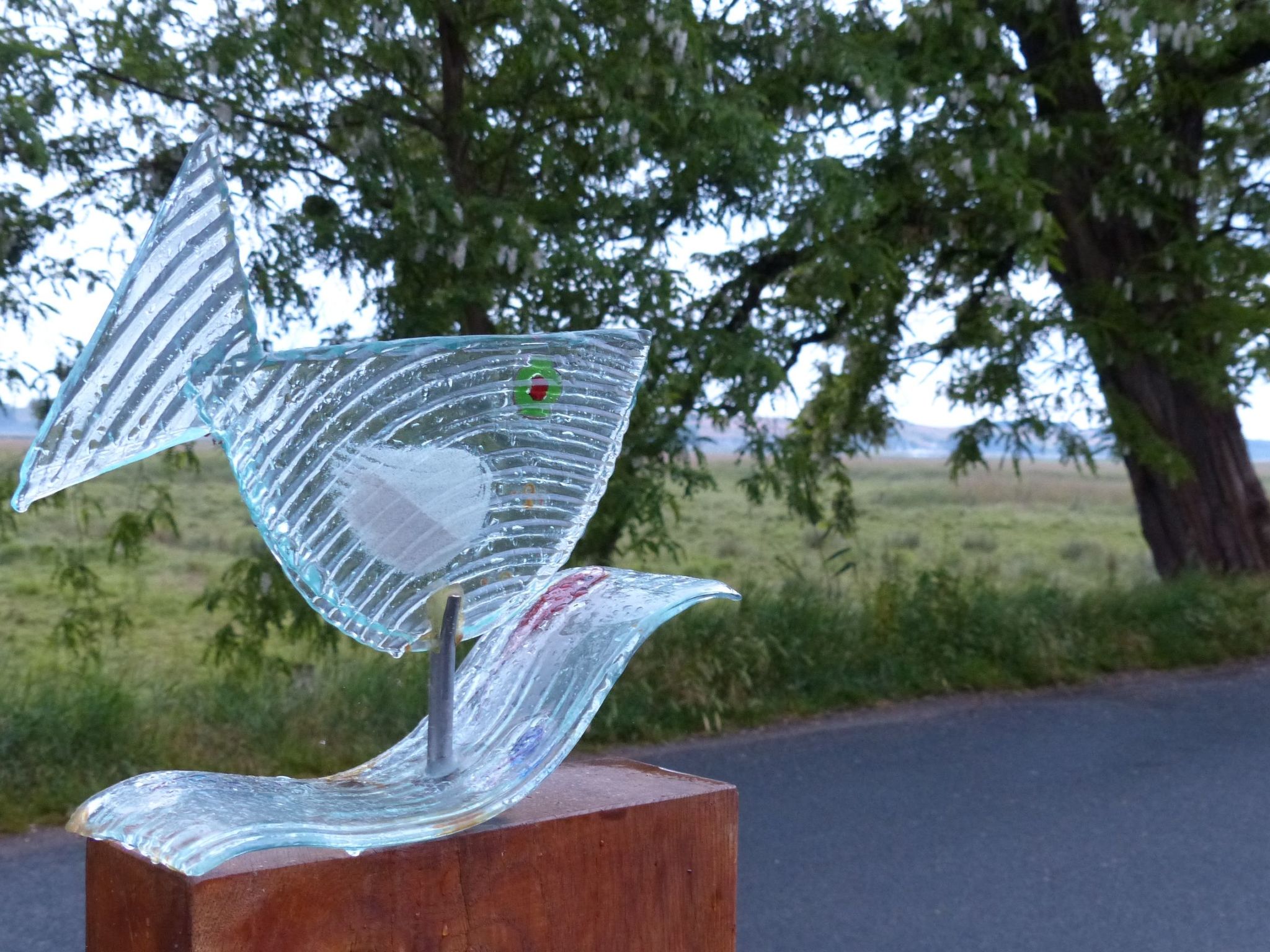 Tohus - Wigbold-Image-tags.info