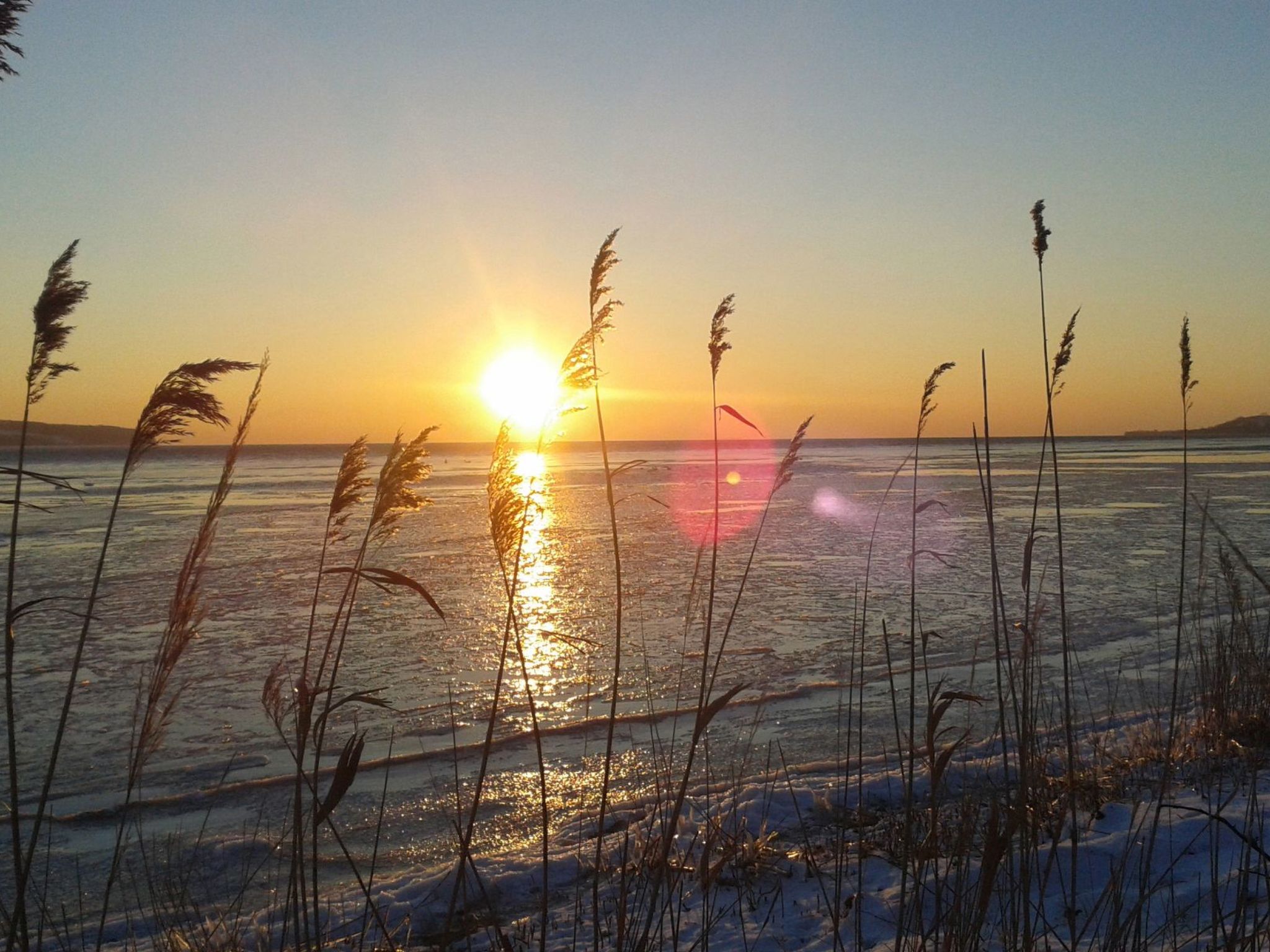 Tohus - Wigbold-Image-tags.info