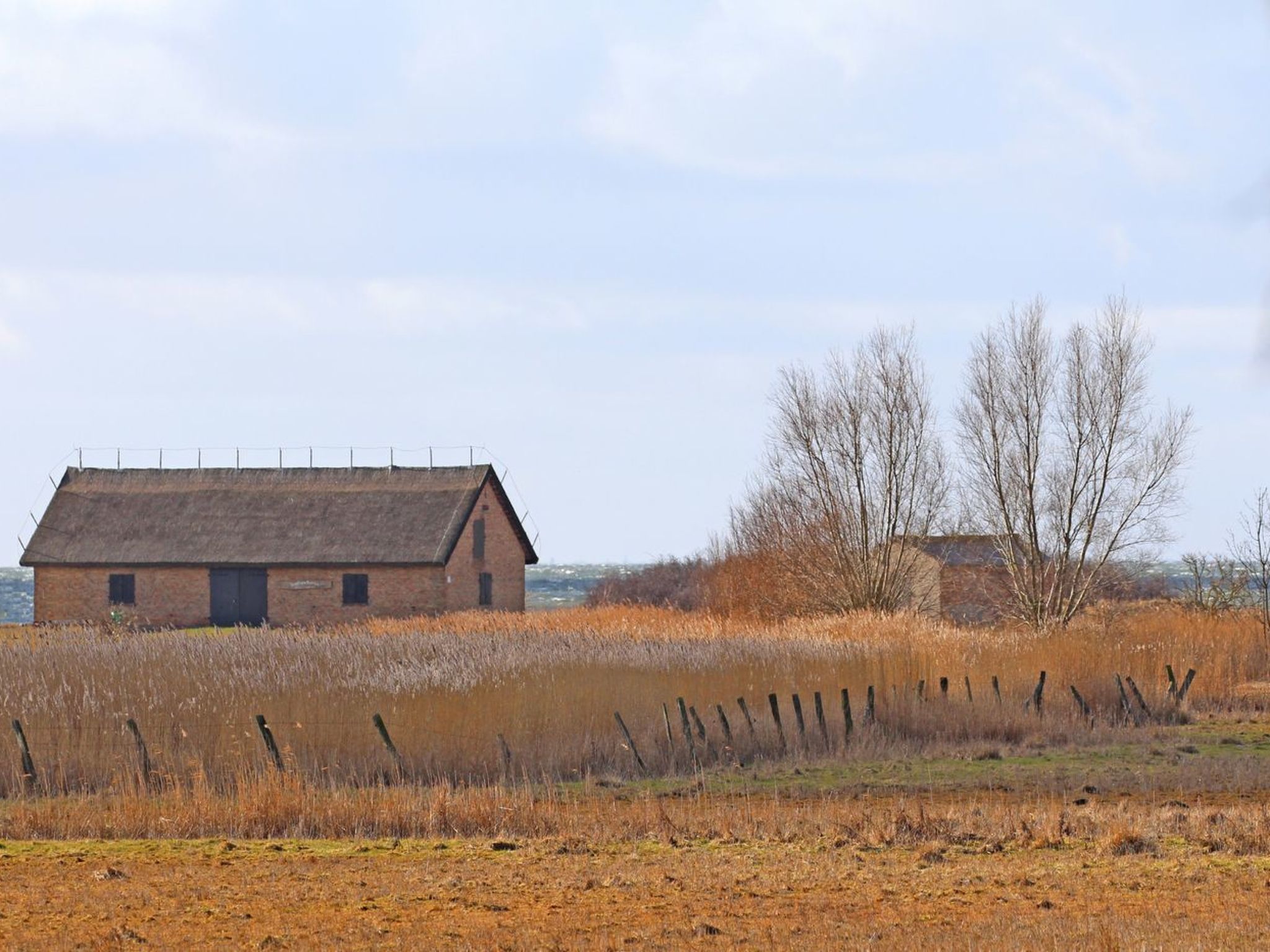 Tohus - Wigbold-Image-tags.info