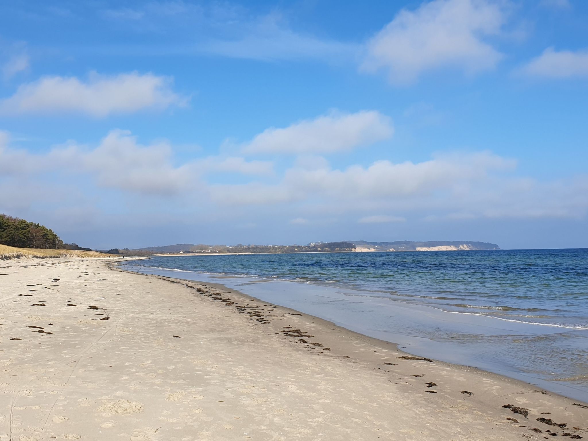 Tohus - Wigbold-Image-tags.info